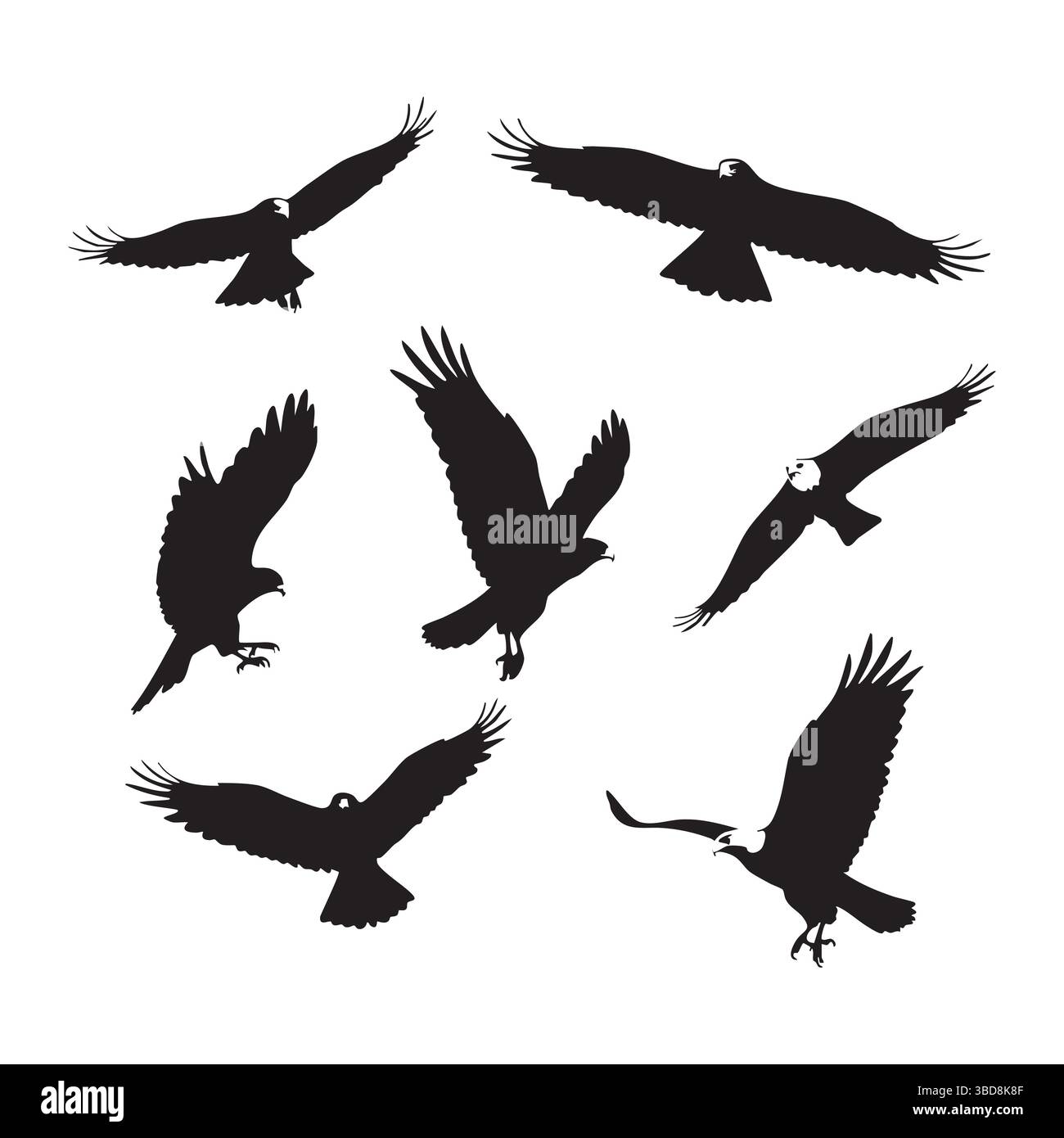 Silhouette ensemble de faucon sur fond blanc Illustration de Vecteur