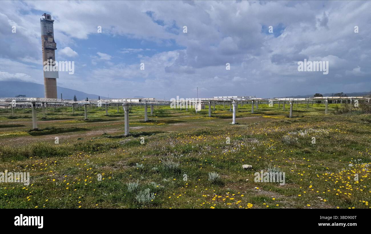 La photo représente une plantation de framboises avec des arbustes soigneusement disposés en rangées, à côté de panneaux solaires installés à la fois sur le toit d'une maison et sur le Banque D'Images