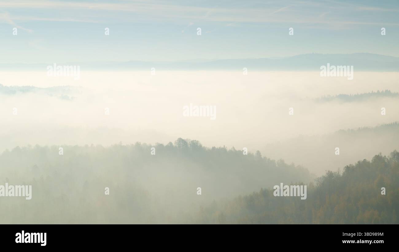 Colline envahie de forêts dépasse du brouillard, grande étendue remplie de brouillard Banque D'Images