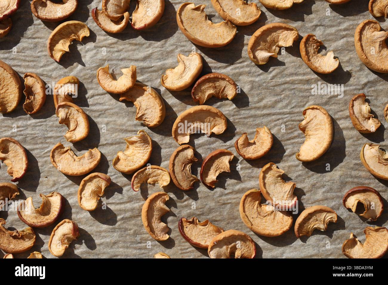 Tranches de pommes séchées sur une surface rustique. Collation naturelle à base de fruits. Aliments sains biologiques. Vue de dessus à la lumière du jour. Pommes conservées maison. Banque D'Images