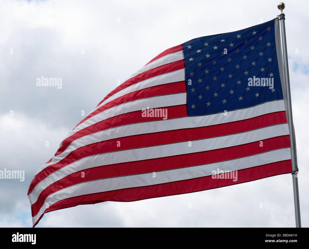 Le drapeau américain ondule gracieusement dans le vent contre un ciel doux et couvert, capturant un symbole intemporel de fierté nationale et d'unité. Banque D'Images