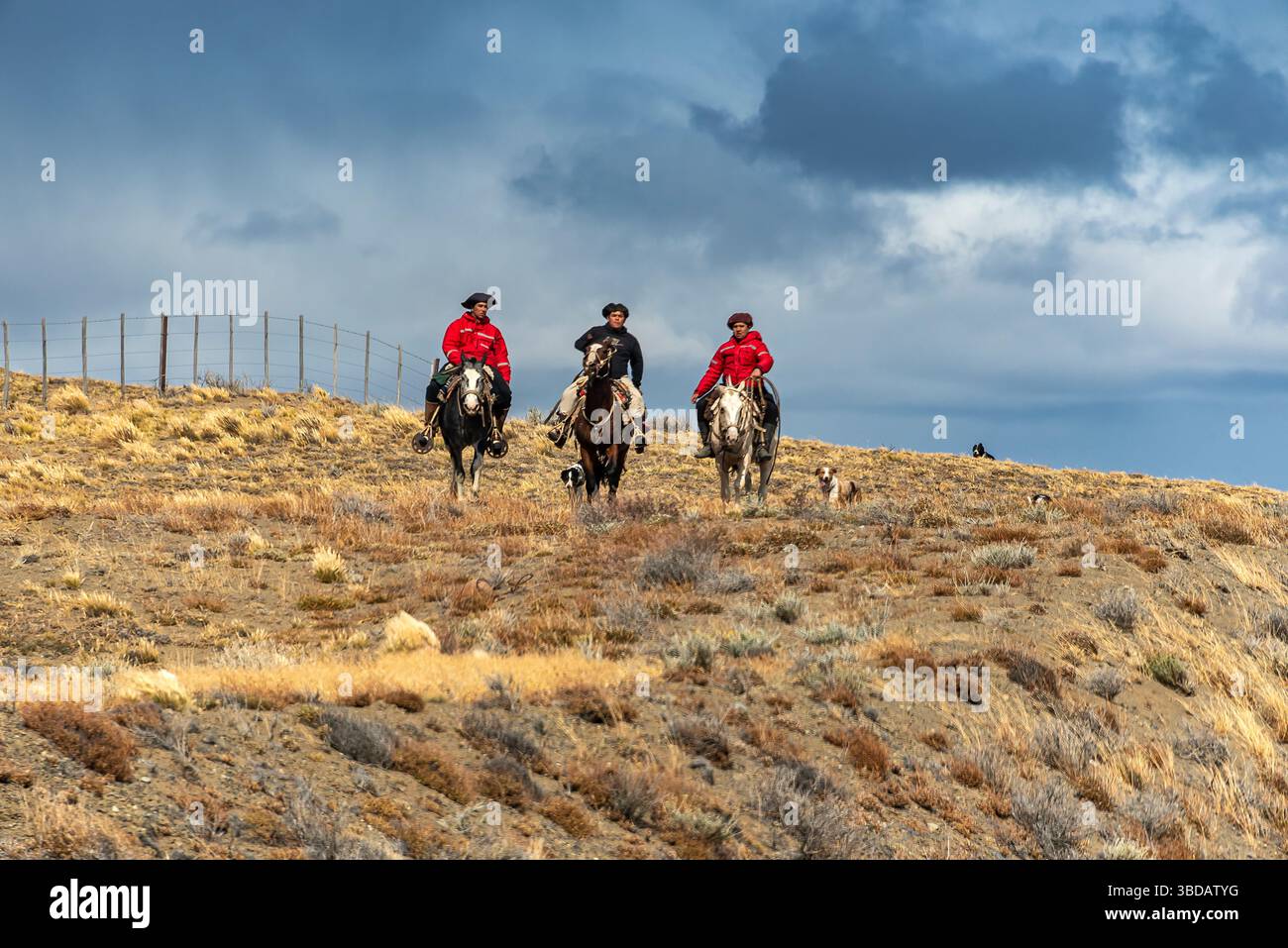 En allant par la route depuis El Chaltén. A El Calafate. Patagonie, Argentine Banque D'Images