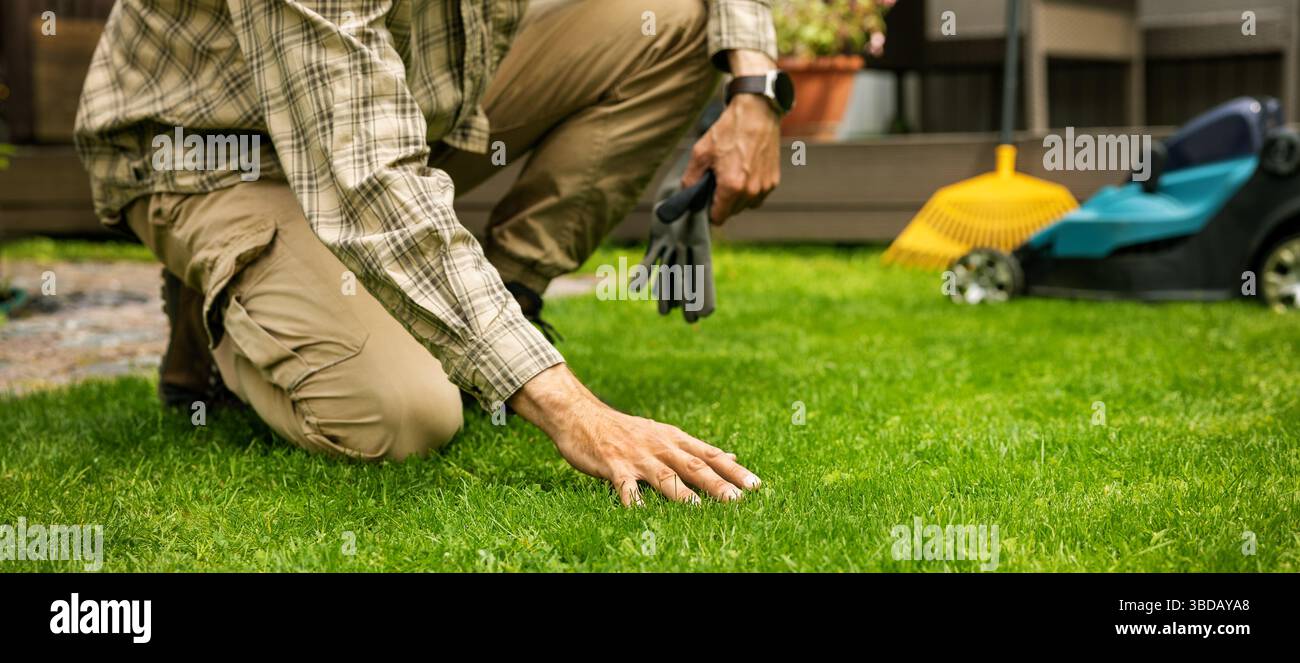 l'homme touche l'herbe verte parfaite avec la main. service d'entretien de pelouse et d'aménagement paysager. bannière avec espace de copie Banque D'Images