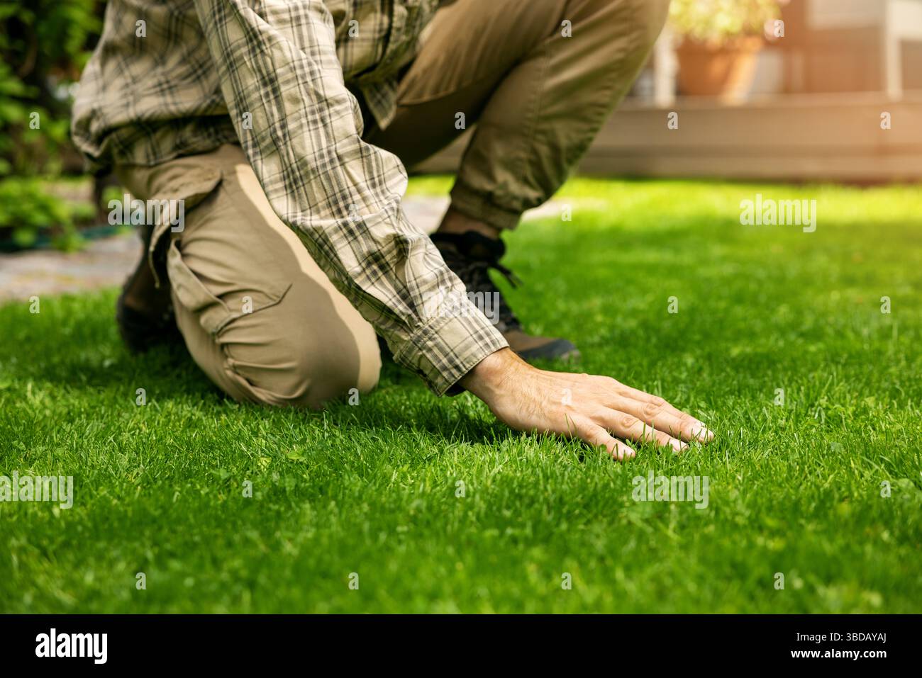entretien des pelouses. l'homme touche l'herbe verte parfaite avec la main à la maison arrière-cour Banque D'Images