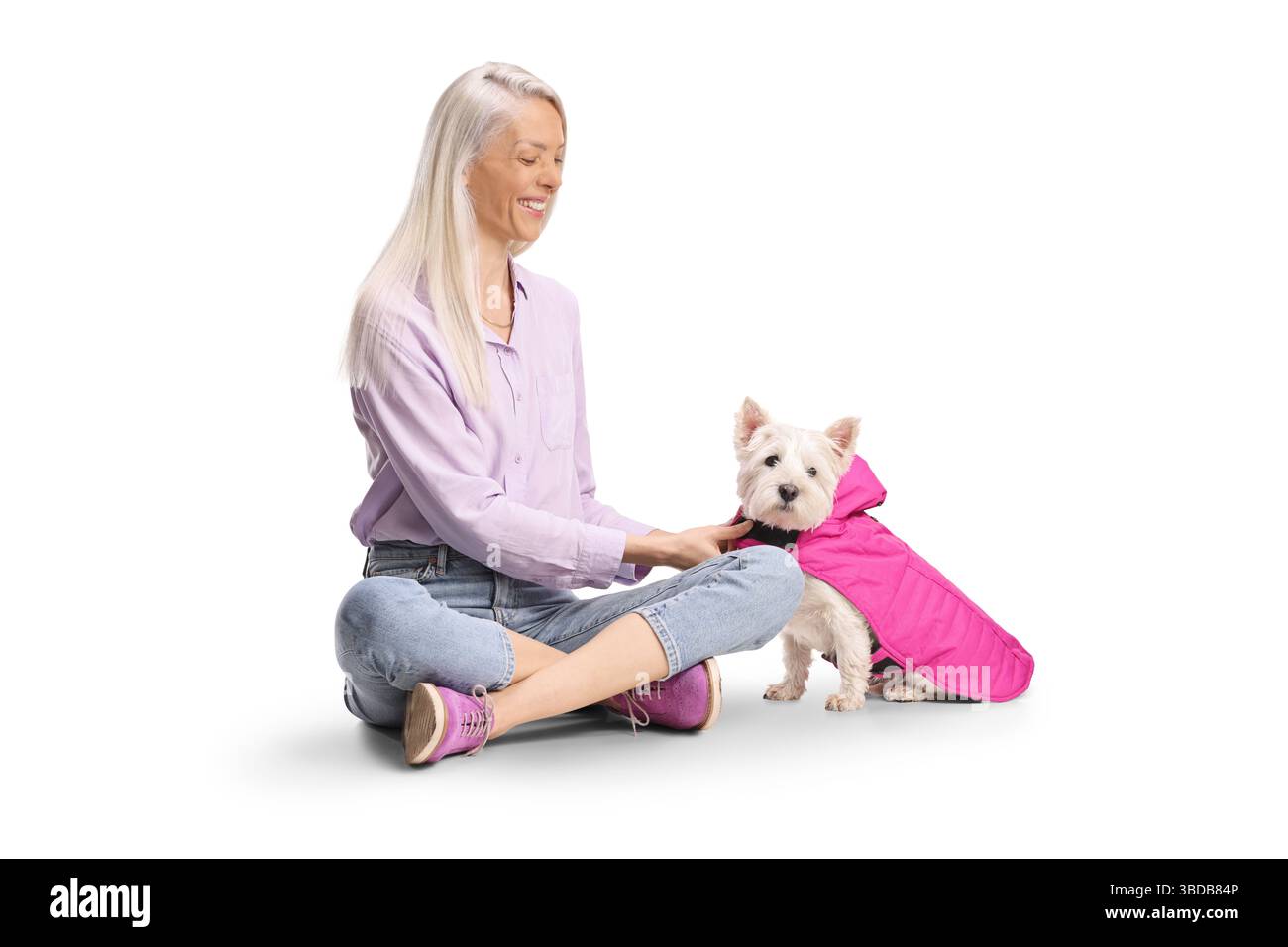Femme habillant un chien westie terrier dans un manteau rose isolé sur fond blanc Banque D'Images
