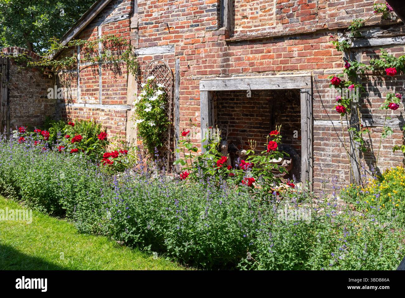 Joli chalet et jardin avec des roses rouges et d'autres fleurs en mai, Alresford, Hampshire, Angleterre, Royaume-Uni Banque D'Images