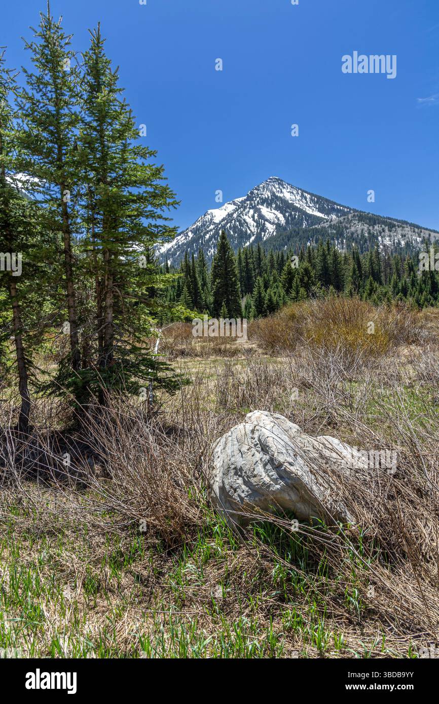 Prairie de montagne rocheuse avec rochers et montagne enneigée, Utah États-Unis Banque D'Images