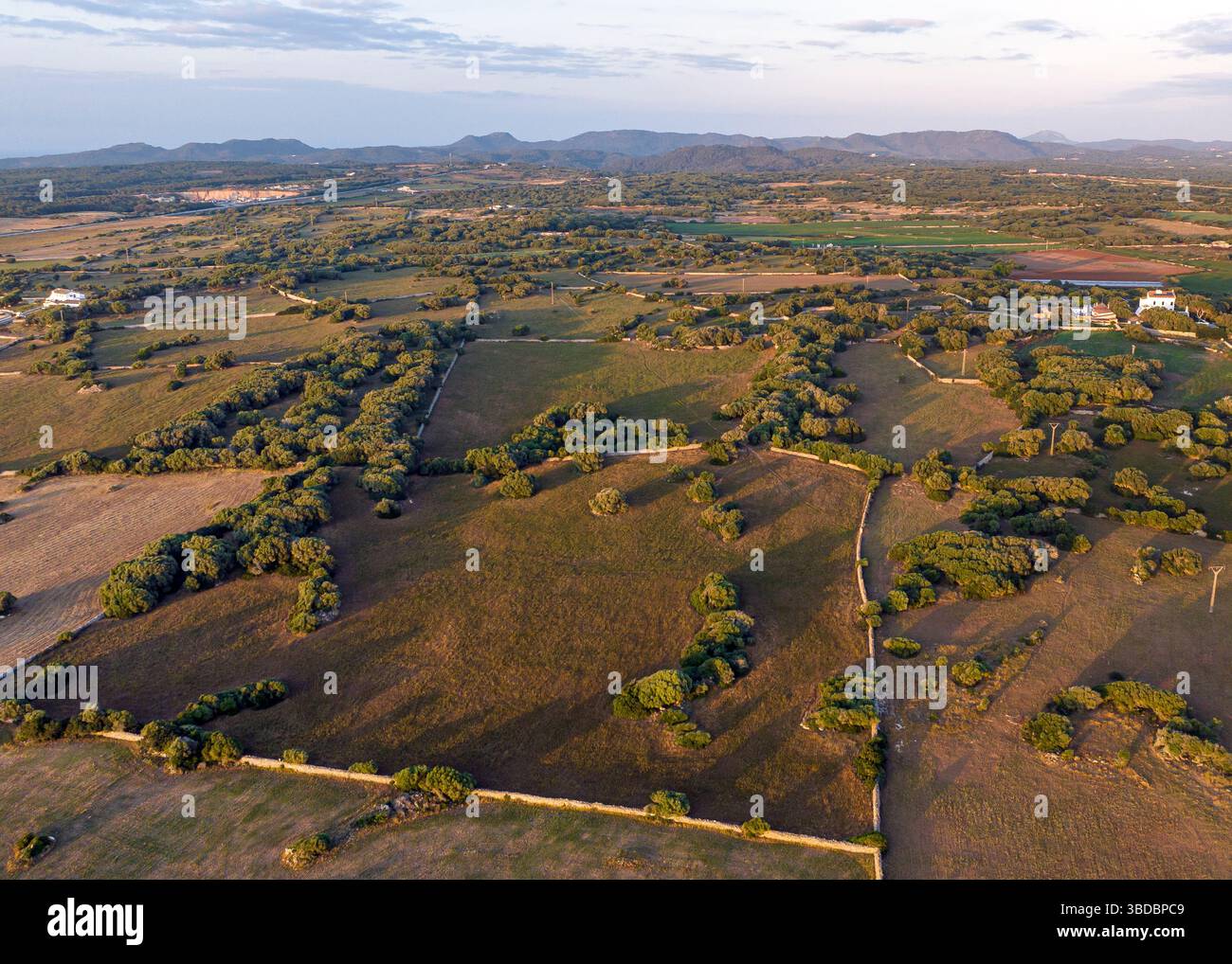 Vue aérienne du coucher de soleil sur les champs dans la région rurale de Minorque, Espagne Banque D'Images