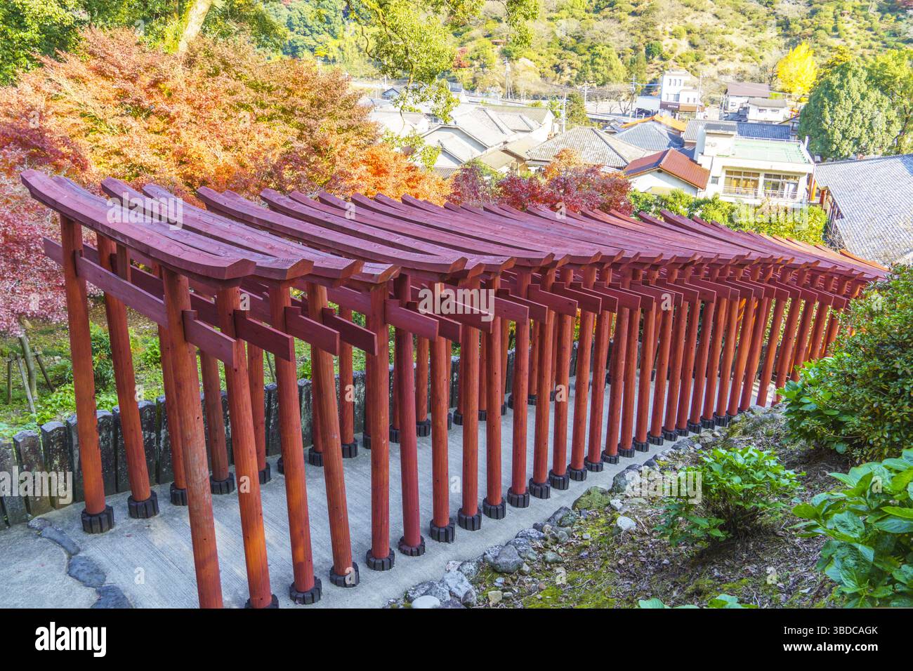Les portes Torii bordent le chemin menant à la colline derrière le hall principal du sanctuaire Yutoku Inari Banque D'Images