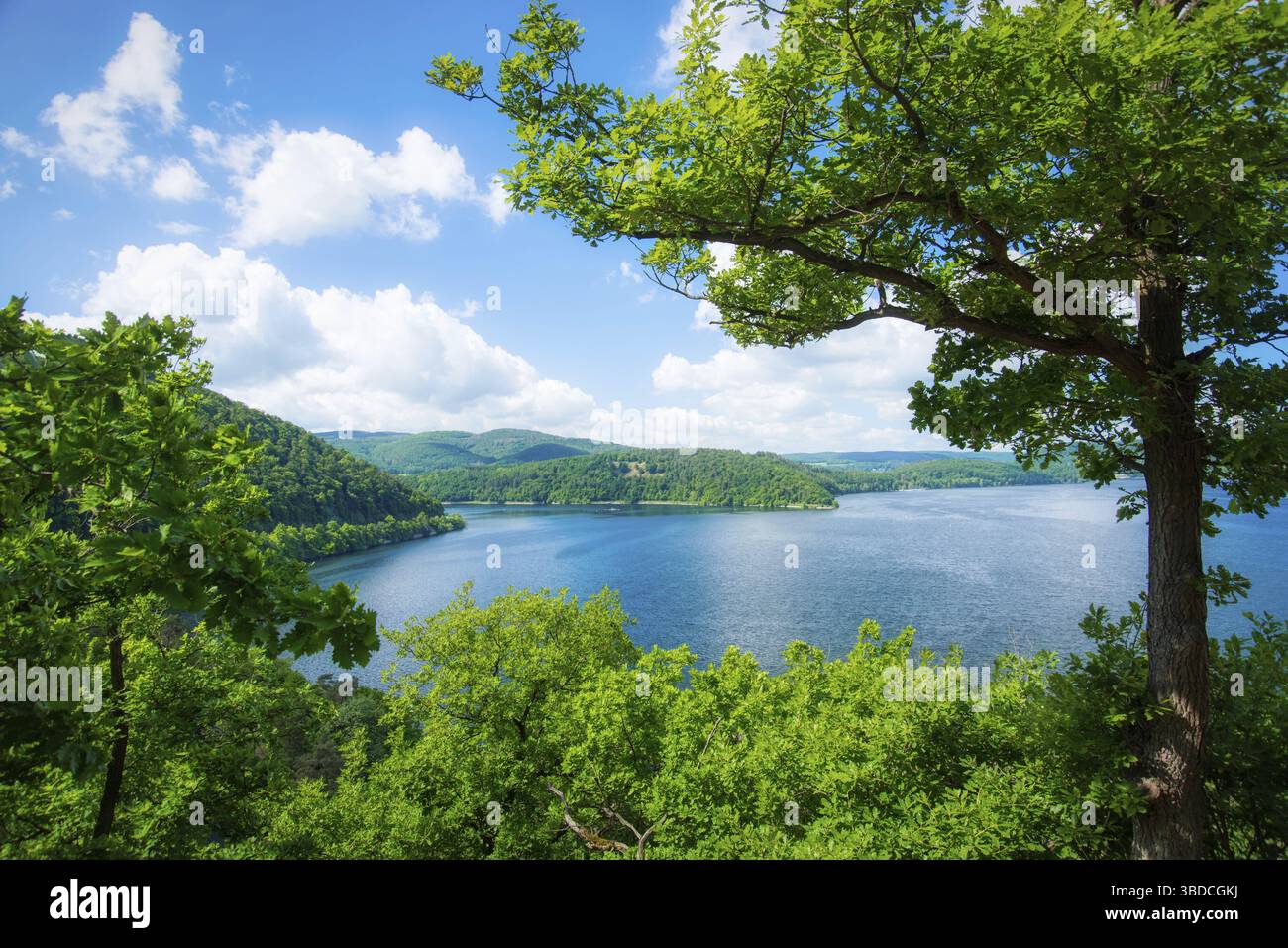 AM Edersee à Hessen - Parc national de Kellerwald-Edersee Banque D'Images