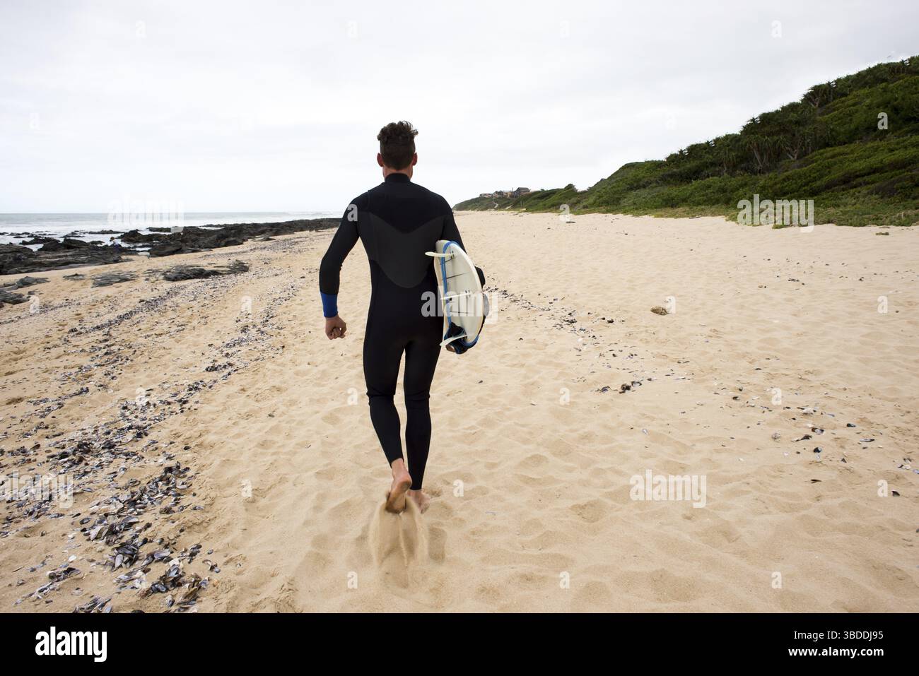 Un surfeur marche le long de la plage avec une planche de surf sous son bras tout en portant une combinaison comme vu de derrière Banque D'Images