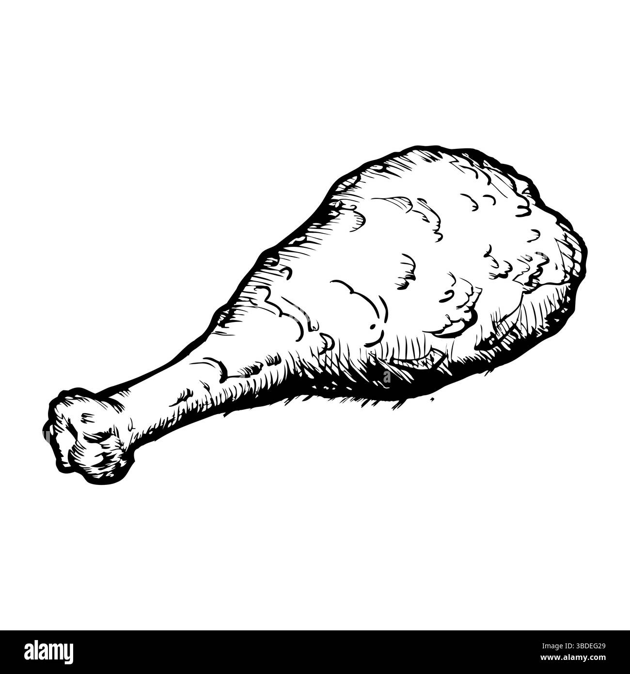 Une illustration dessinée à la main d'un pilon de poulet. Le pilon est représenté avec une surface texturée, mettant en valeur son aspect carné et croustillant. C'est le cas Illustration de Vecteur