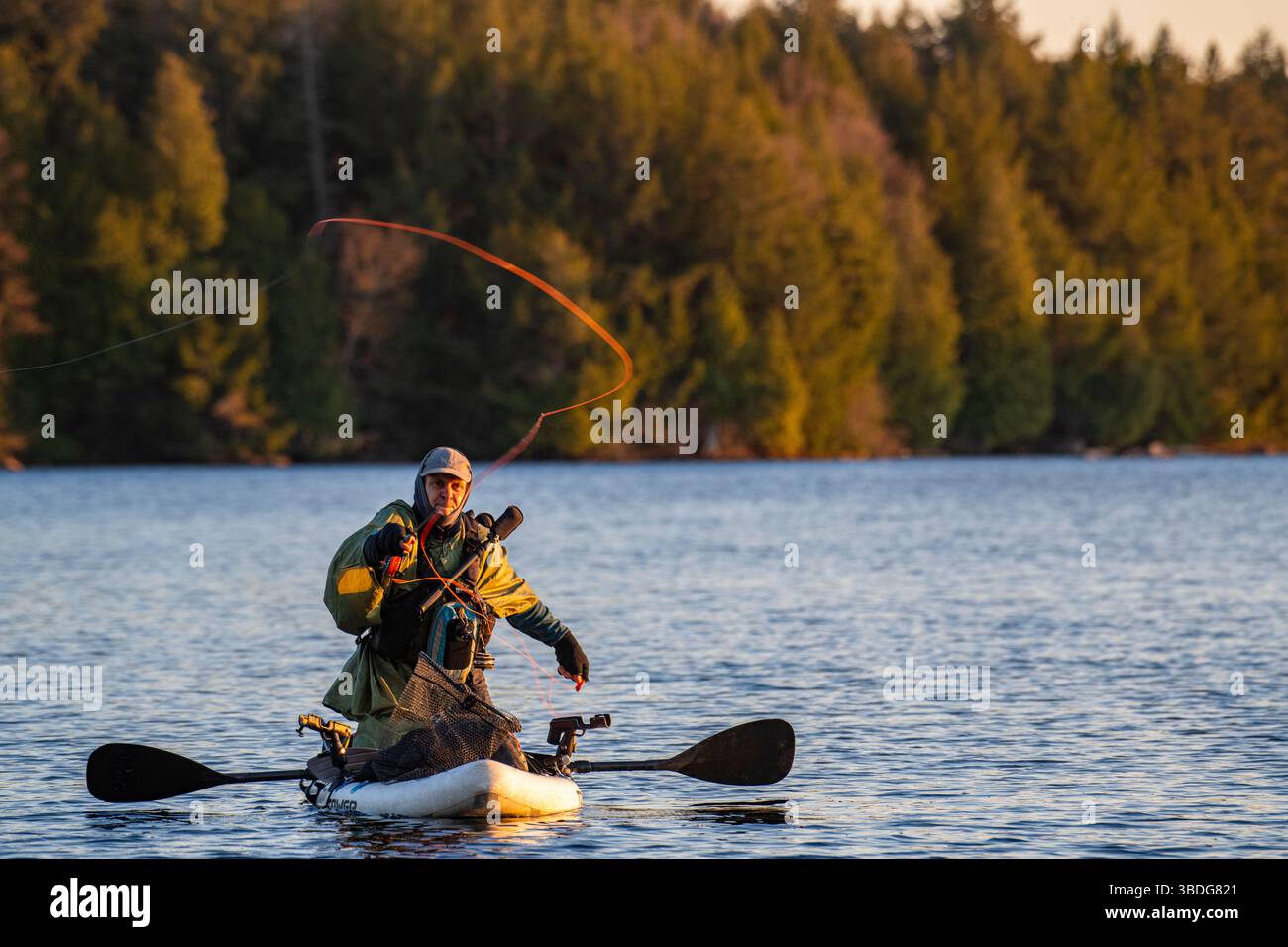 Un pêcheur pêche à l'aide d'un stand up Paddleboard (SUP) dans un lac du parc national Algonquin, Onario, Canada Banque D'Images