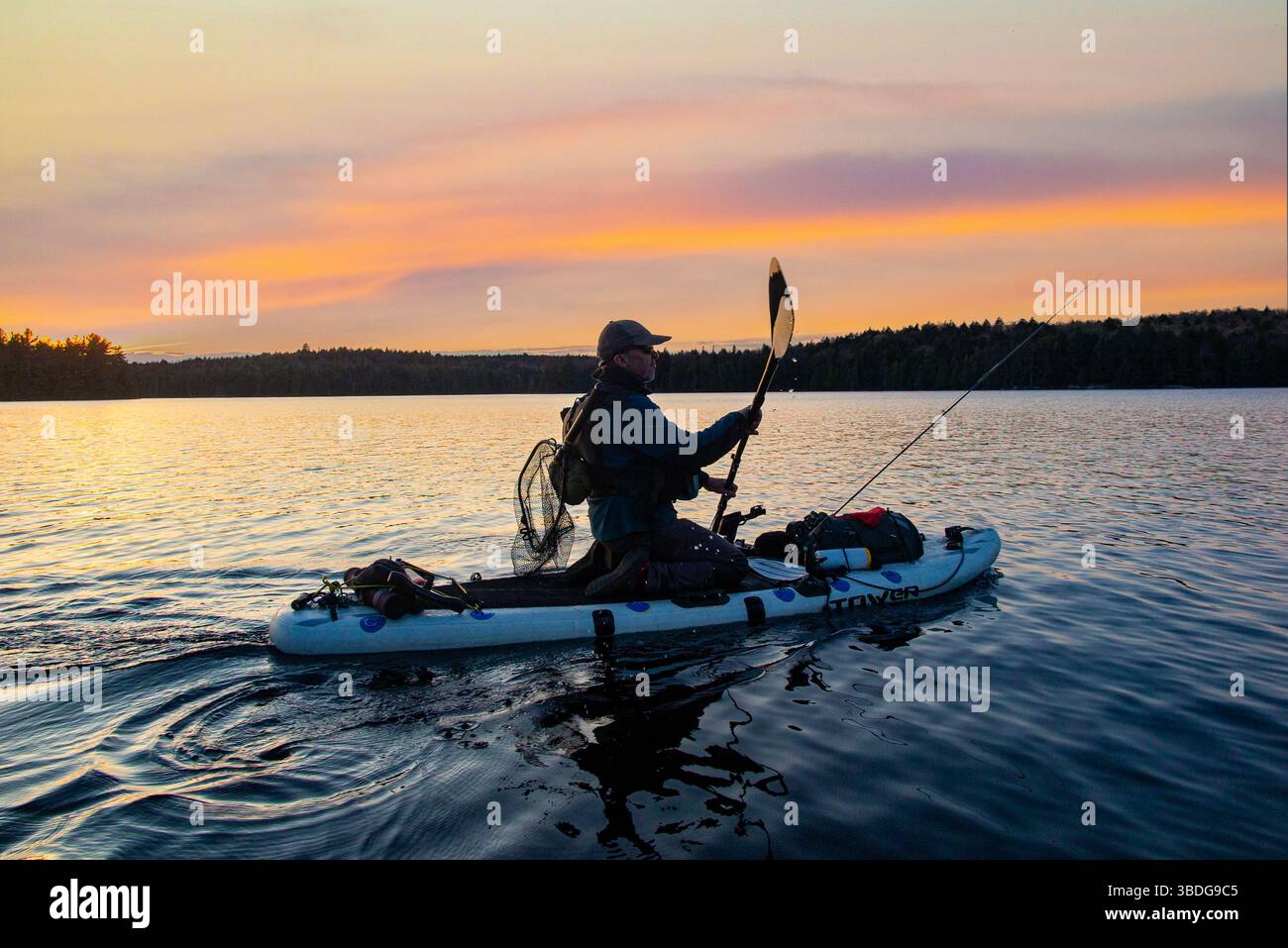 Un pêcheur pêche à l'aide d'un stand up Paddleboard (SUP) dans un lac du parc national Algonquin, Onario, Canada Banque D'Images