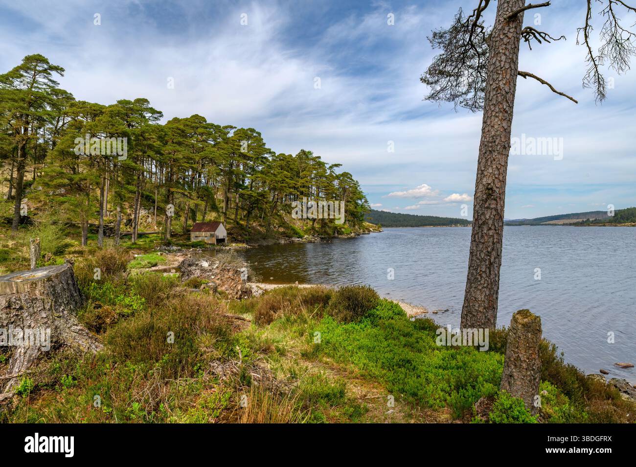 Loch Grannoch, parc forestier de Galloway, Dumfries et Galloway, Écosse Banque D'Images