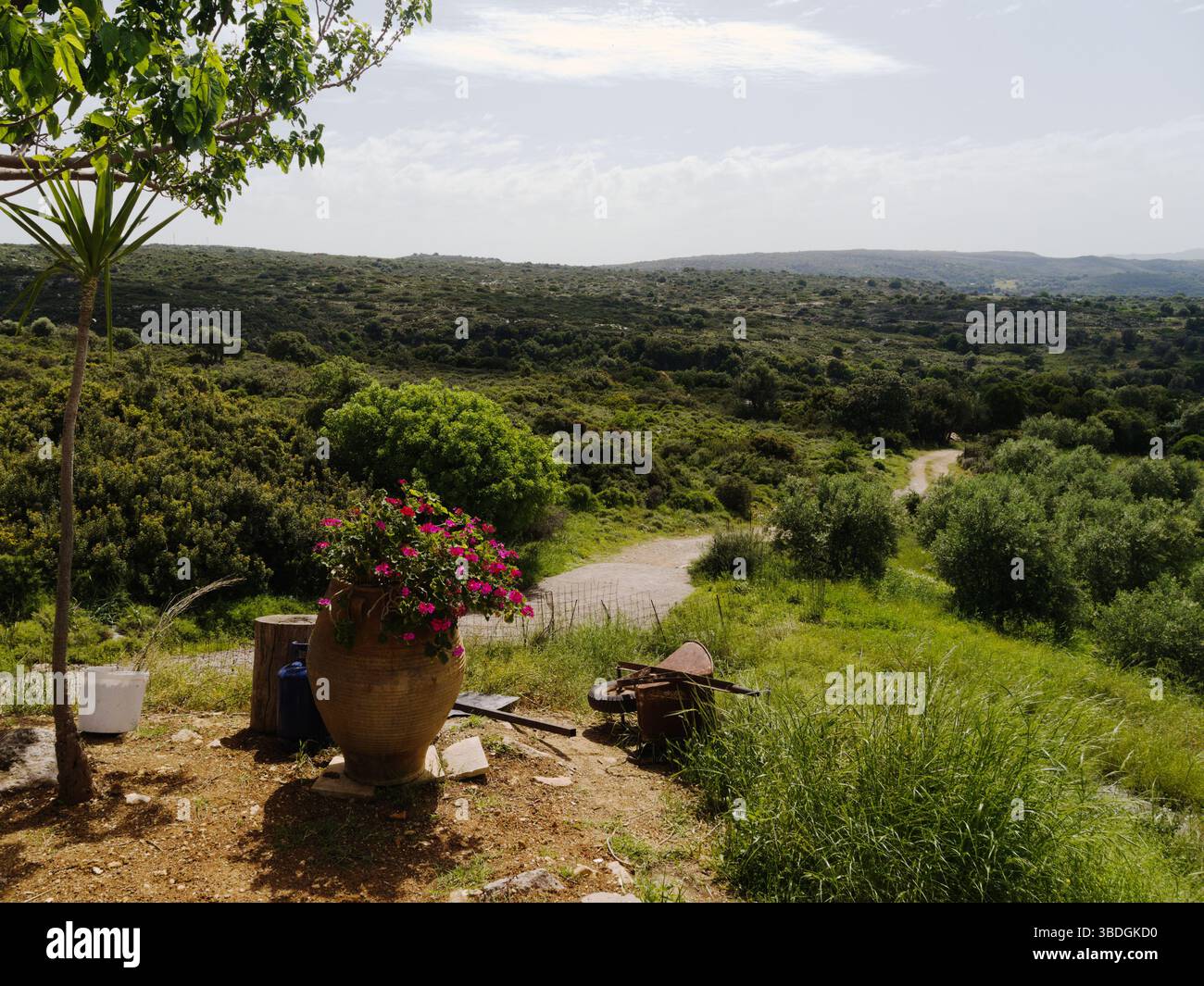 Crète, Grèce, scène de campagne crétoise. Vue rurale typique de l'agriculture traditionnelle. Collines verdoyantes au printemps. Paysage grec. Nord de l'île ne Banque D'Images