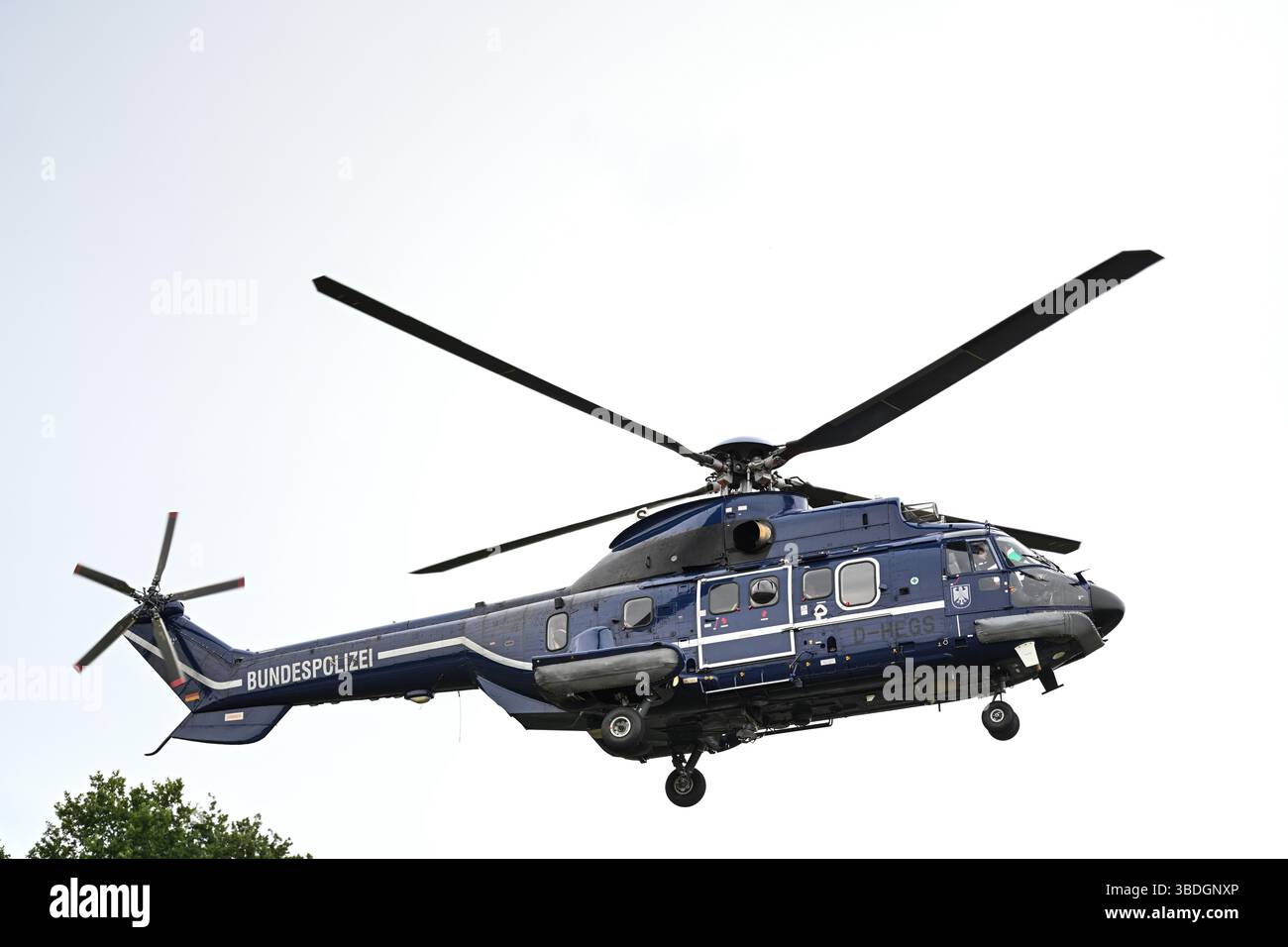 Nordhorn, Allemagne. 24 mai 2025. Un hélicoptère de la police atterrit sur la route fédérale 213 (B213) pour déposer les forces d'urgence. L'opération prioritaire a lieu dans le cadre du rétablissement temporaire des contrôles aux frontières intérieures le long de la frontière entre la basse-Saxe et les pays-Bas. Crédit : Lars Penning/dpa/Alamy Live News Banque D'Images