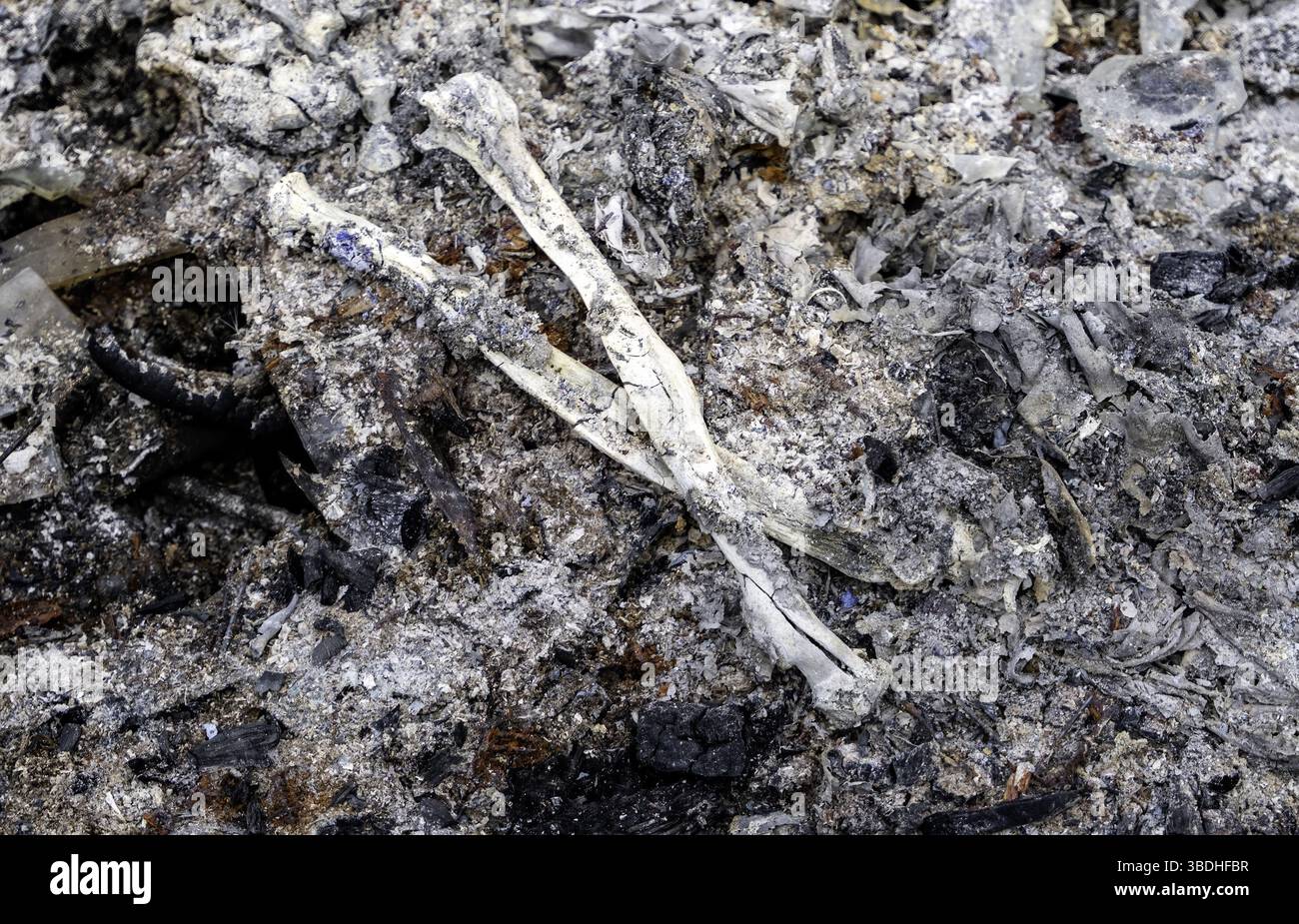 Détail de l'ancien crématorium avec des restes d'os humains, cimetière Banque D'Images
