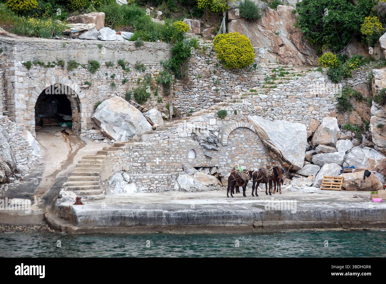 Ânes sur le front de mer de l'ancien quai de pierre avec des arches et des escaliers, au petit port de Katounakia, dans le mont Athos, en Grèce. Banque D'Images