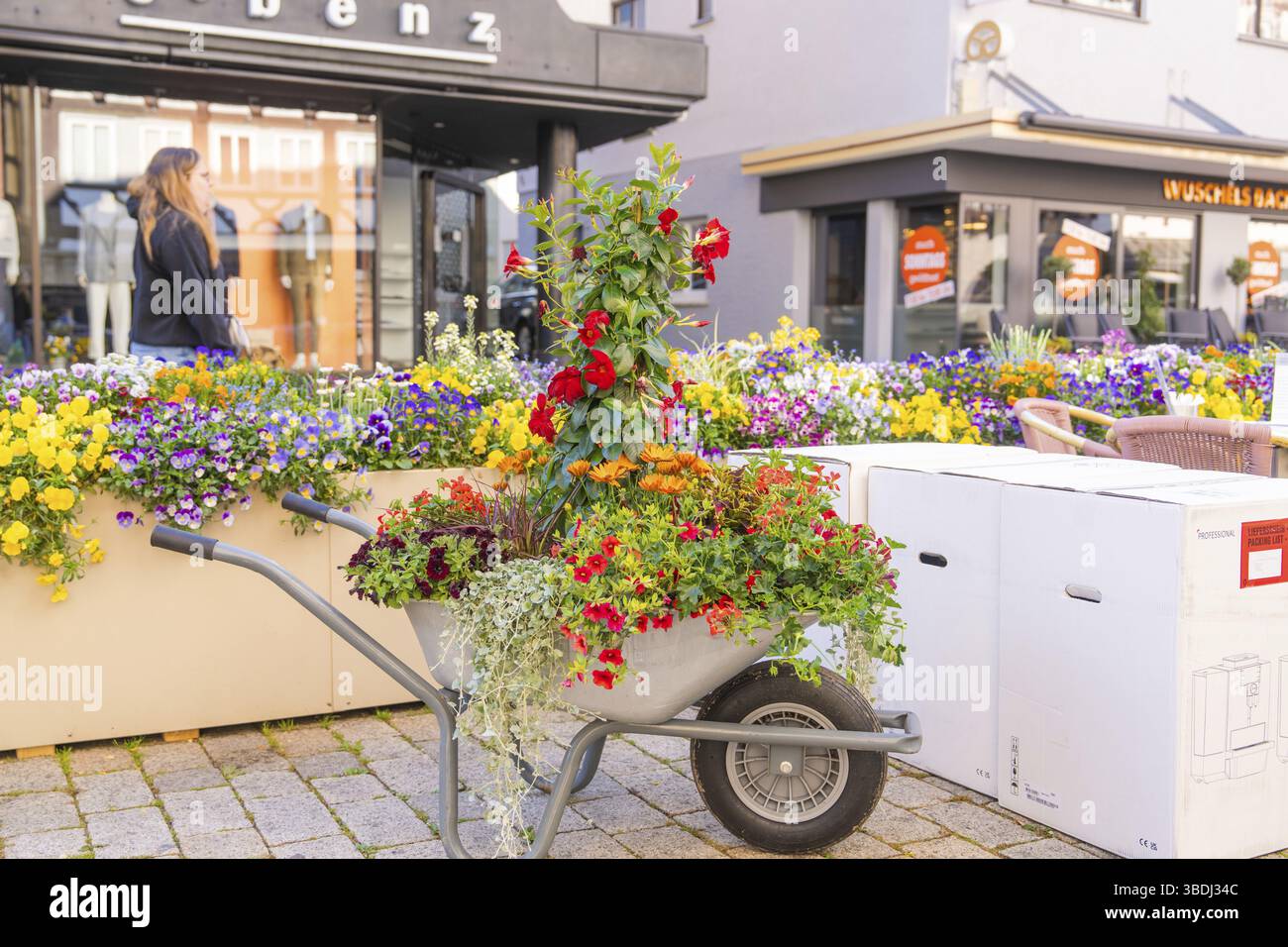 Une brouette remplie de fleurs à côté d'un bâtiment dans la ville, jardin et céramique Nagold, district de Calw, Allemagne, Europe Banque D'Images