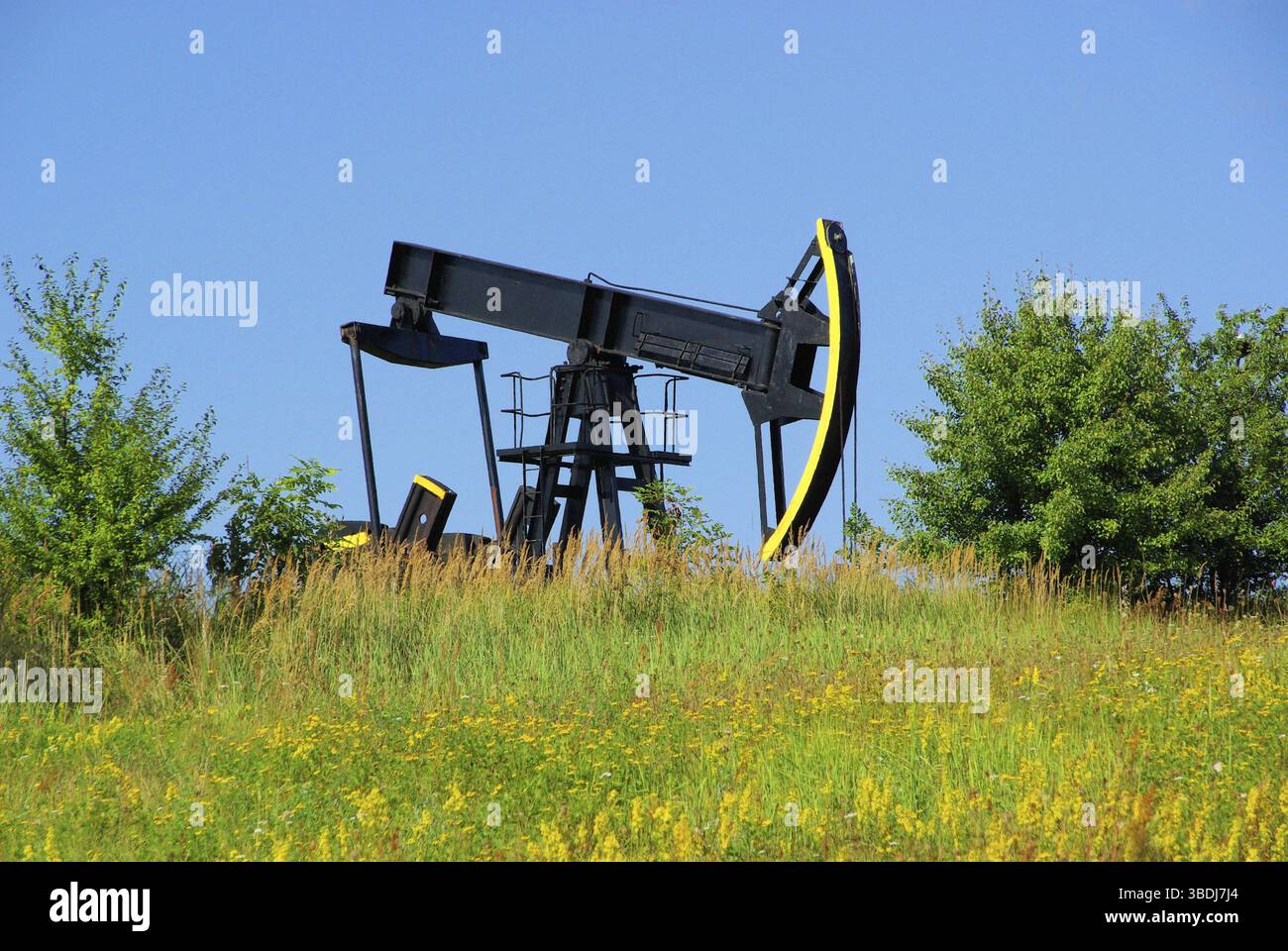 Pompe à huile Banque D'Images