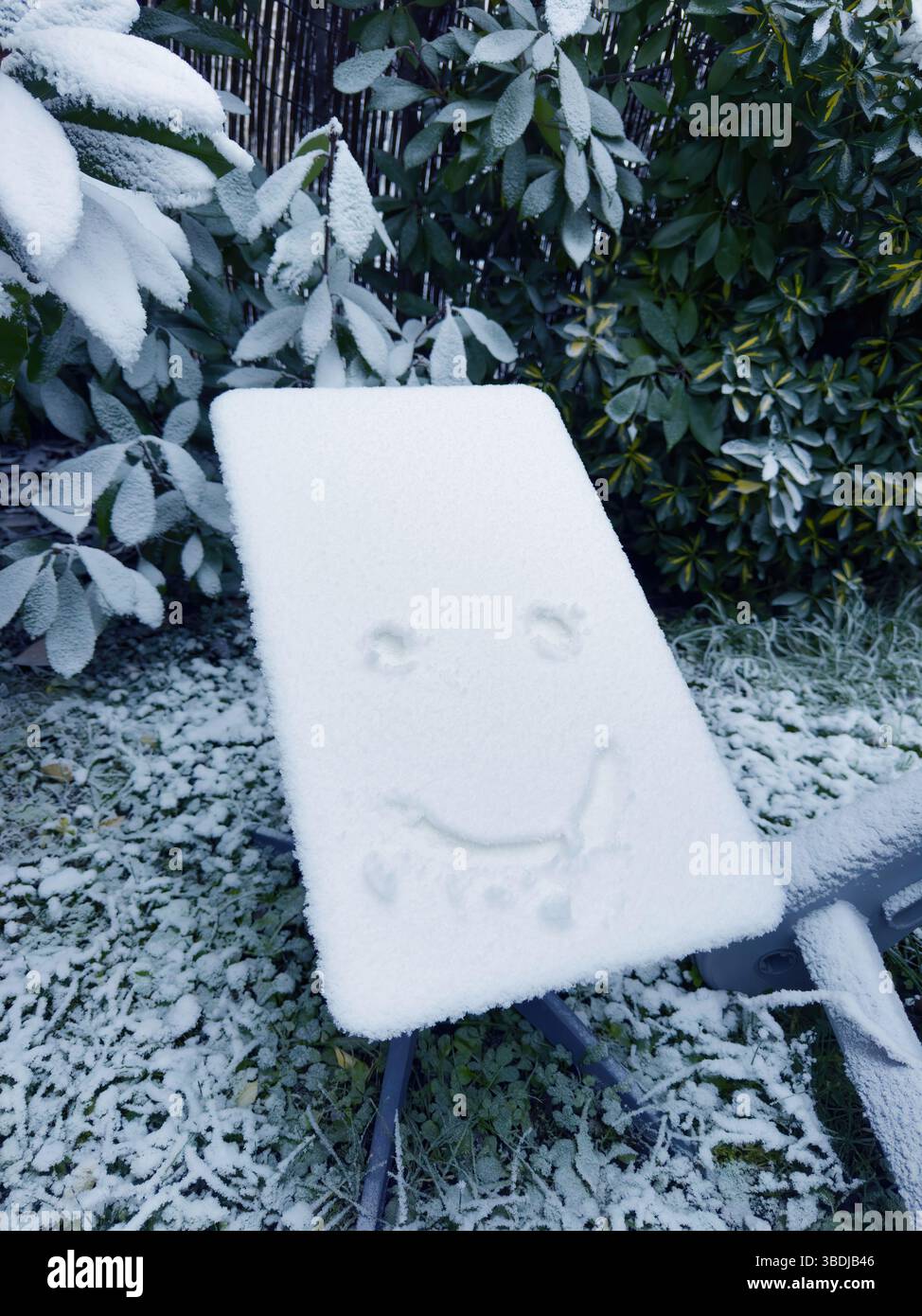 Franfkrut, Allemagne - 22 janvier 2025 : une table de jardin enneigée présente un visage souriant dessiné à la main sur sa surface, entourée de feuilles poussiéreuses de neige, gr Banque D'Images