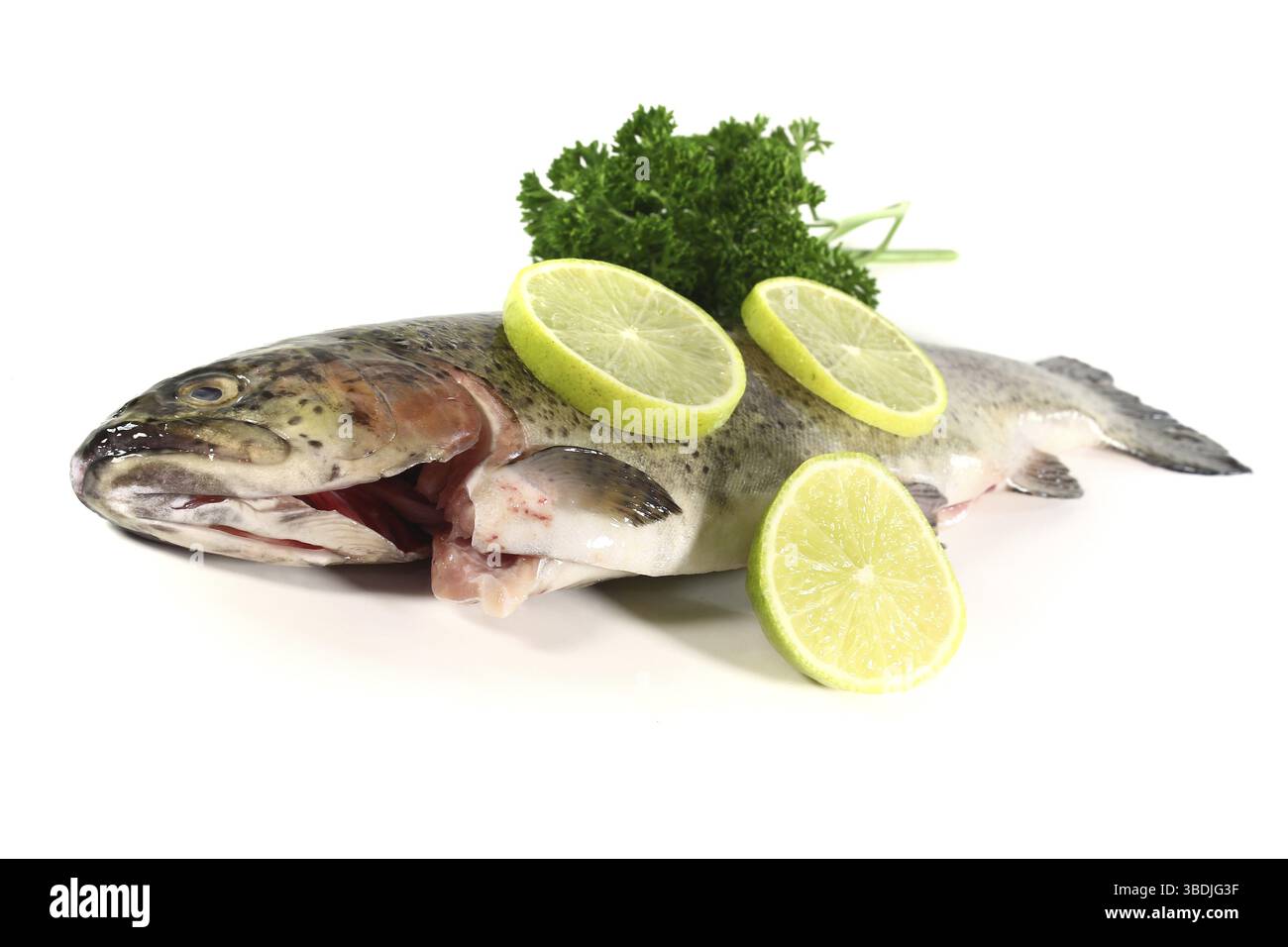 Truite brune fraîche et crue avec persil et citron vert sur fond blanc Banque D'Images