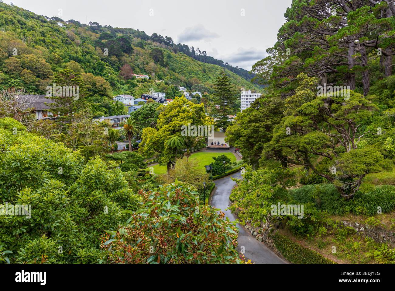 Wellington Botanic Gardens et carter Observatory à Wellington, Nouvelle-Zélande. Banque D'Images