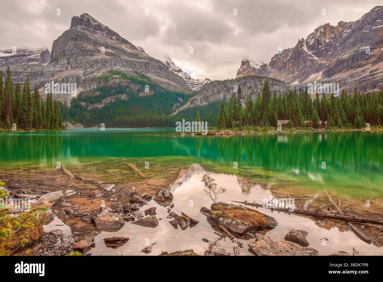 Eau émeraude du lac O’Hara dans le parc national Yoho. Alpine Loop Trail. Les Rocheuses canadiennes. Colombie-Britannique. Canada Banque D'Images Eau émeraude du lac O’Hara dans le parc national Yoho. Alpine Loop Trail. Les Rocheuses canadiennes. Colombie-Britannique. Canada Banque D'Images