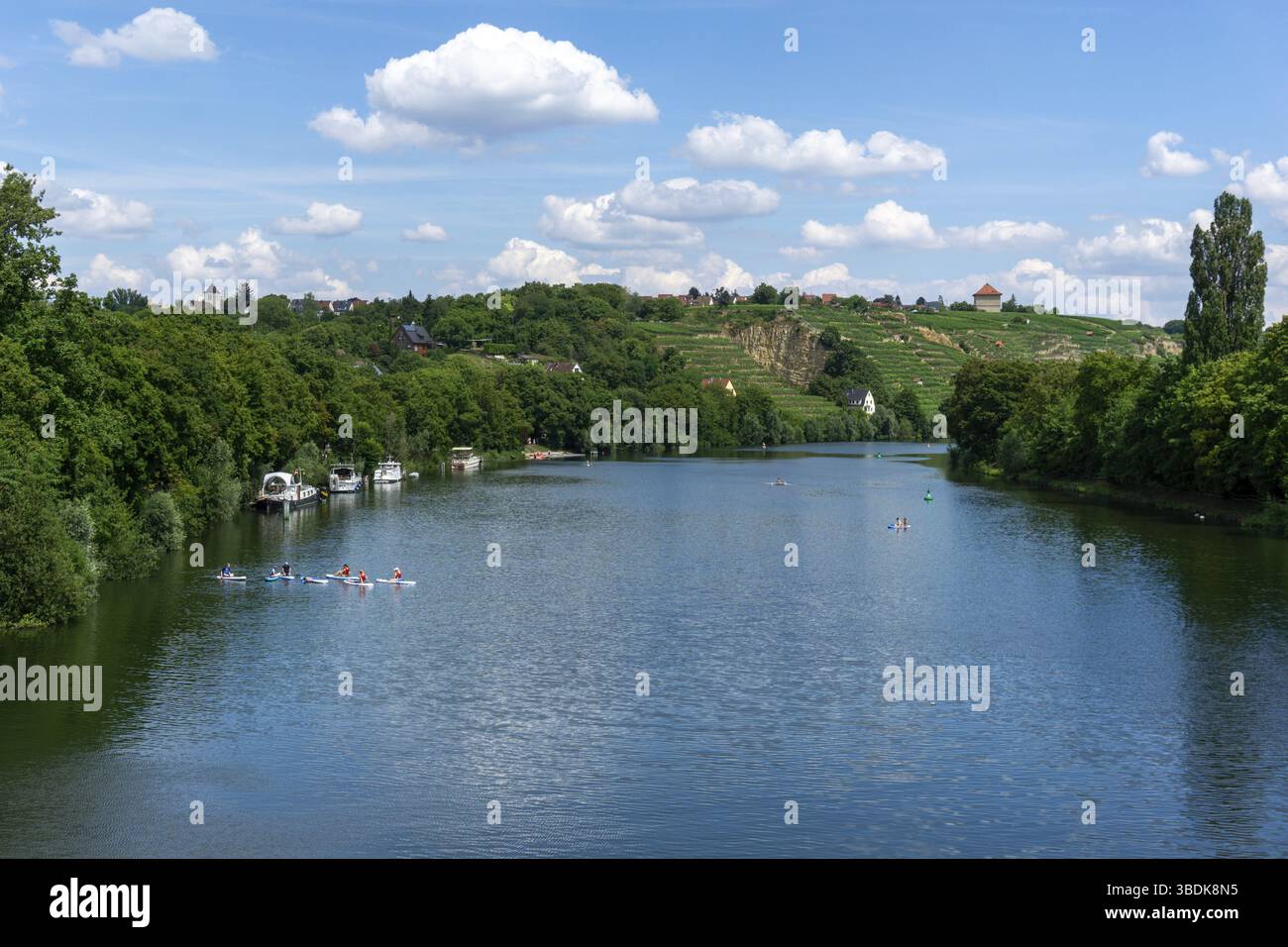 Allemagne - 21 juillet 2020 : cours de paddleboard sur le Neckar à Stuttgart en été Banque D'Images