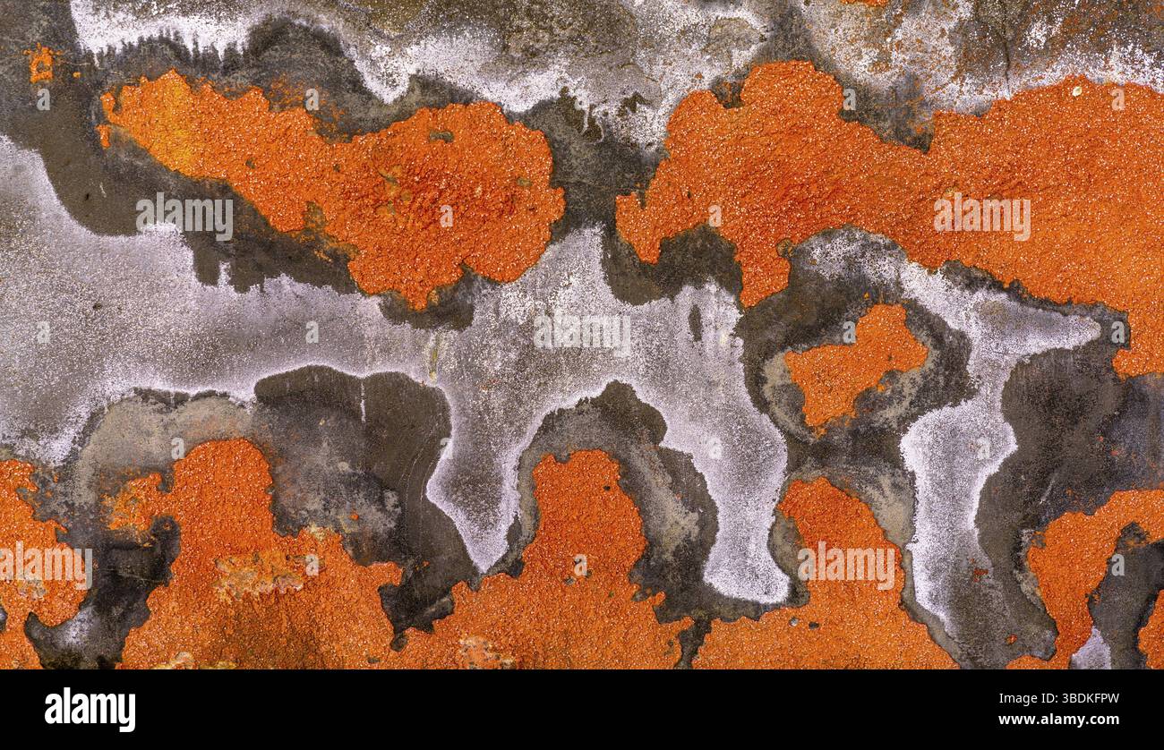 arrière-plan de gros plan vue abstraite d'un mur en plâtre avec peinture hicpping et décoloration en orange et gris Banque D'Images