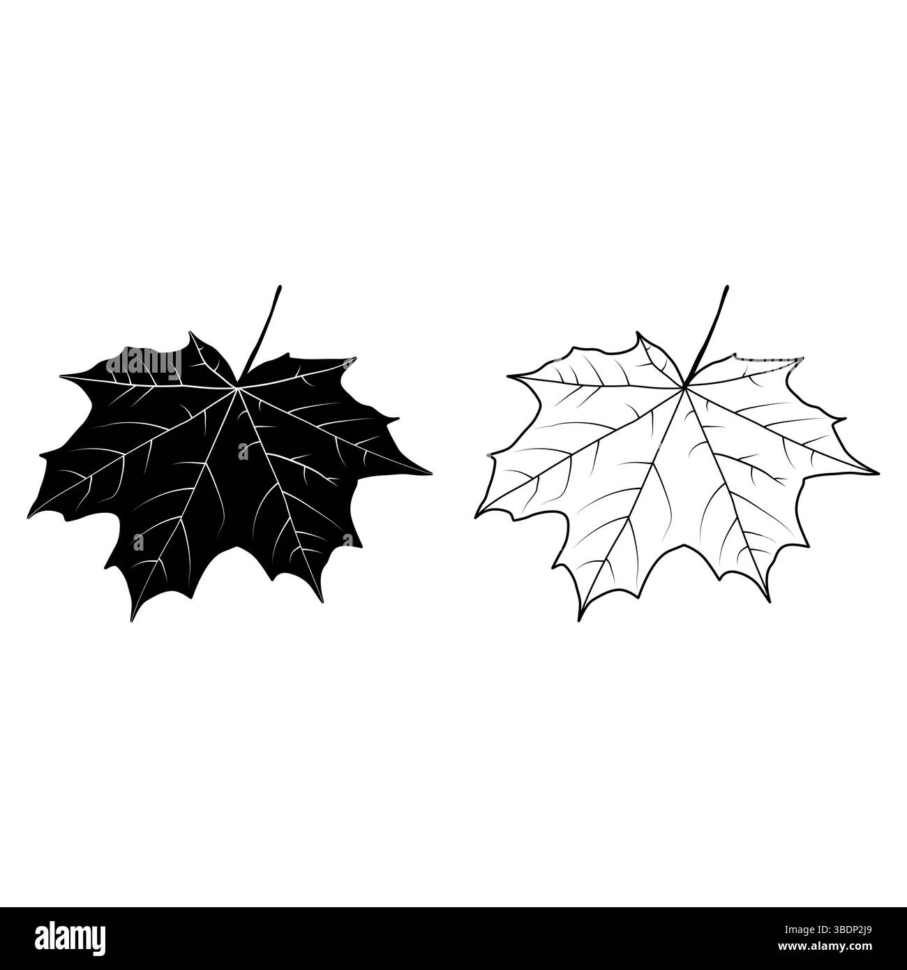 Illustration du contour de feuille d'érable. Ceci est une illustration d'une feuille d'érable dans un contour, style noir et blanc. Illustration de Vecteur