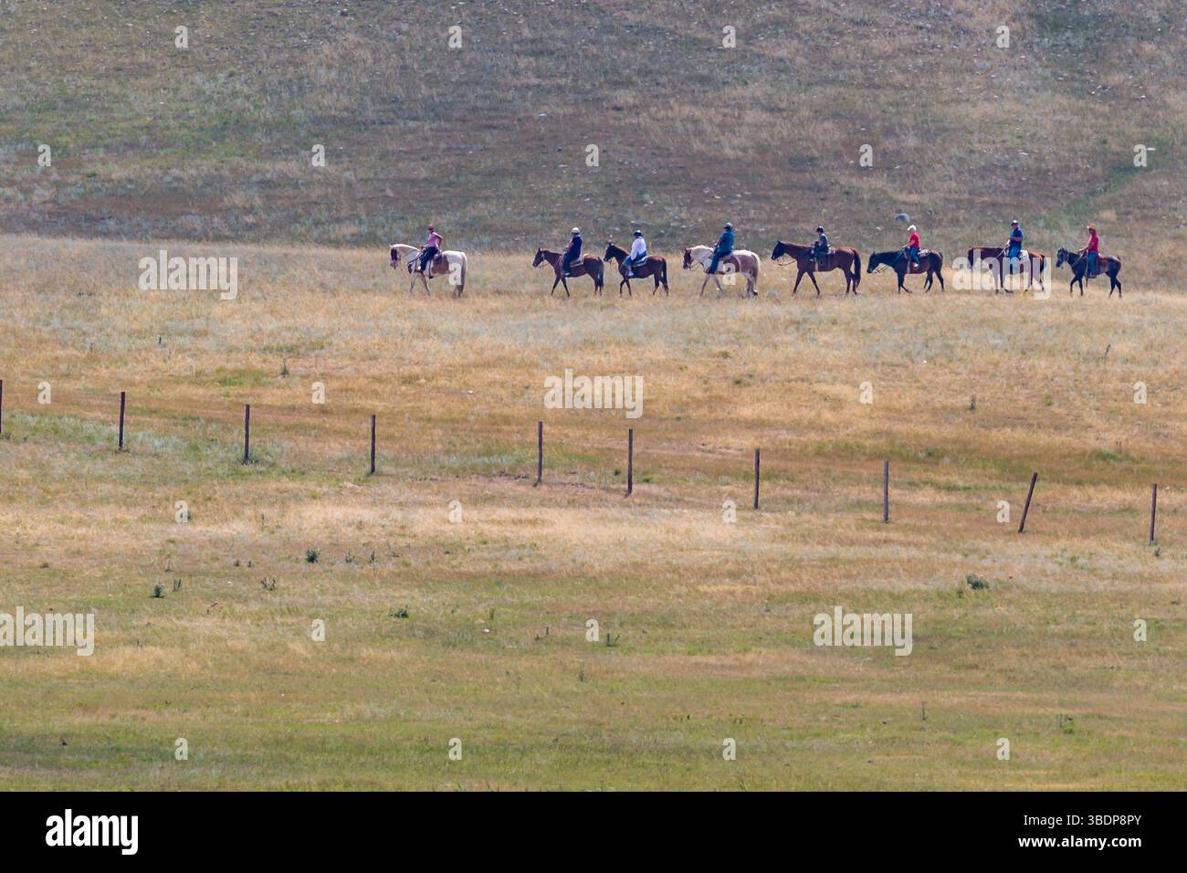 Les visiteurs sont conduits sur un sentier à cheval à travers les champs de Terry Bison Ranch près de Cheyenne, Wyoming Banque D'Images