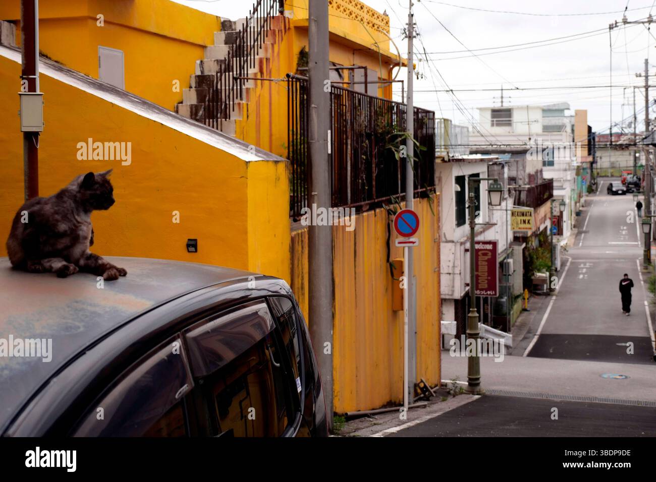 Kin Town liegt an der Ostküste der Insel Okinawa in Japan und ist bekannt für Seine einzigartige Mischung aus traditioneller Kultur, militärischer Präsenz und kulinarischer innovation. Die Nähe zu Camp Hansen, einem US-Marine-Stützpunkt, prägte die Stadt über Jahrzehnte hinweg. In den 1960er und 1970er Jahren War Kin Town besonders im Bereich Shinkaichi ein florierendes Unterhaltungszentrum mit bars, clubs und restaurants, die hauptsächlich US-Soldaten als Kunden hatten - heute kämpft die Stadt mit dem demografischen Wandel. Kin, 12.05.2025 Okinawa Japon *** Kin Town est situé sur la coa est Banque D'Images
