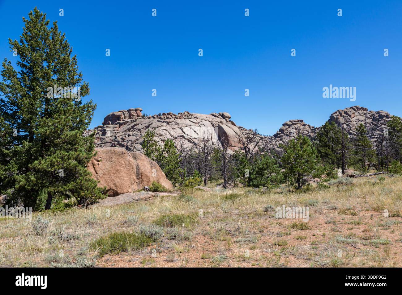 Affleurement rocheux de granit dans la zone de loisirs de Vedauwoo de la forêt nationale de Medicine Bow dans le Wyoming Banque D'Images