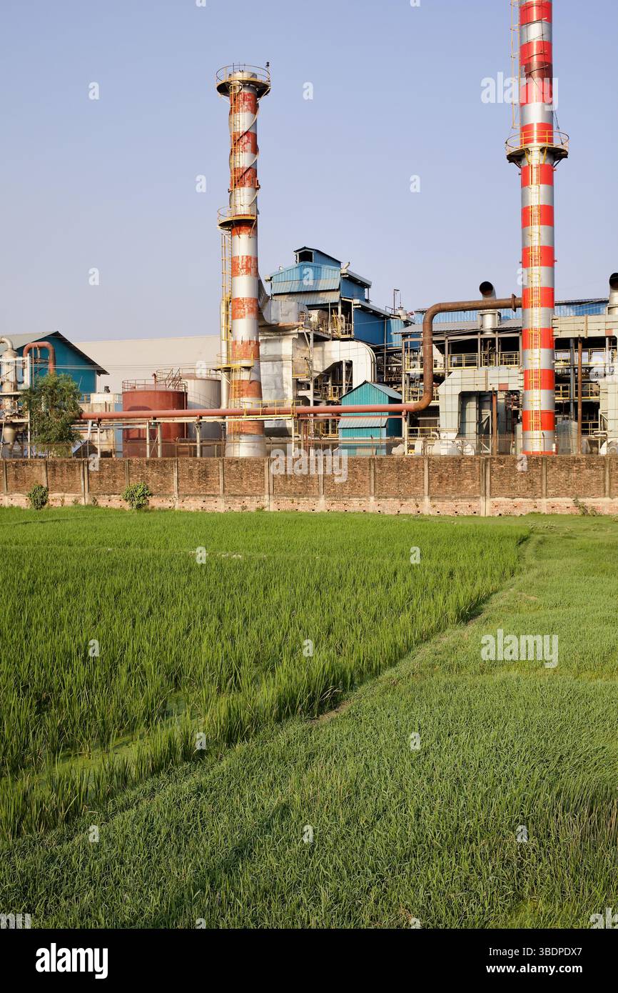 Une centrale électrique à Shikalbaha, au Bangladesh, se dresse derrière une rizière dynamique, soulignant le chevauchement croissant de l’agriculture et de l’industrie lourde. Banque D'Images