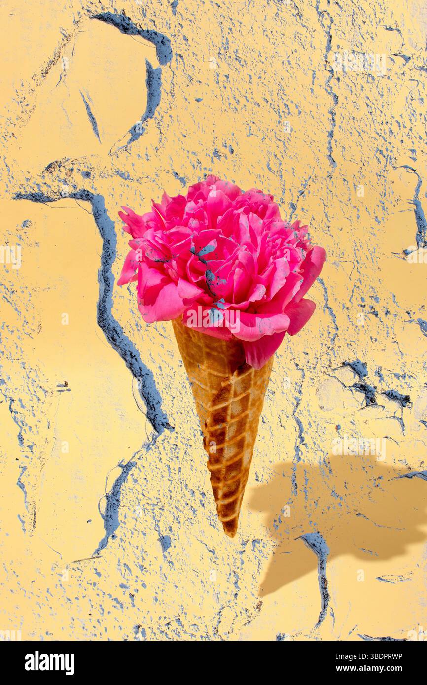 Image abstraite faite de fleur rose dans un cône de crème glacée, fond texturé blanc. Composition de concept créatif avec espace de copie. Banque D'Images