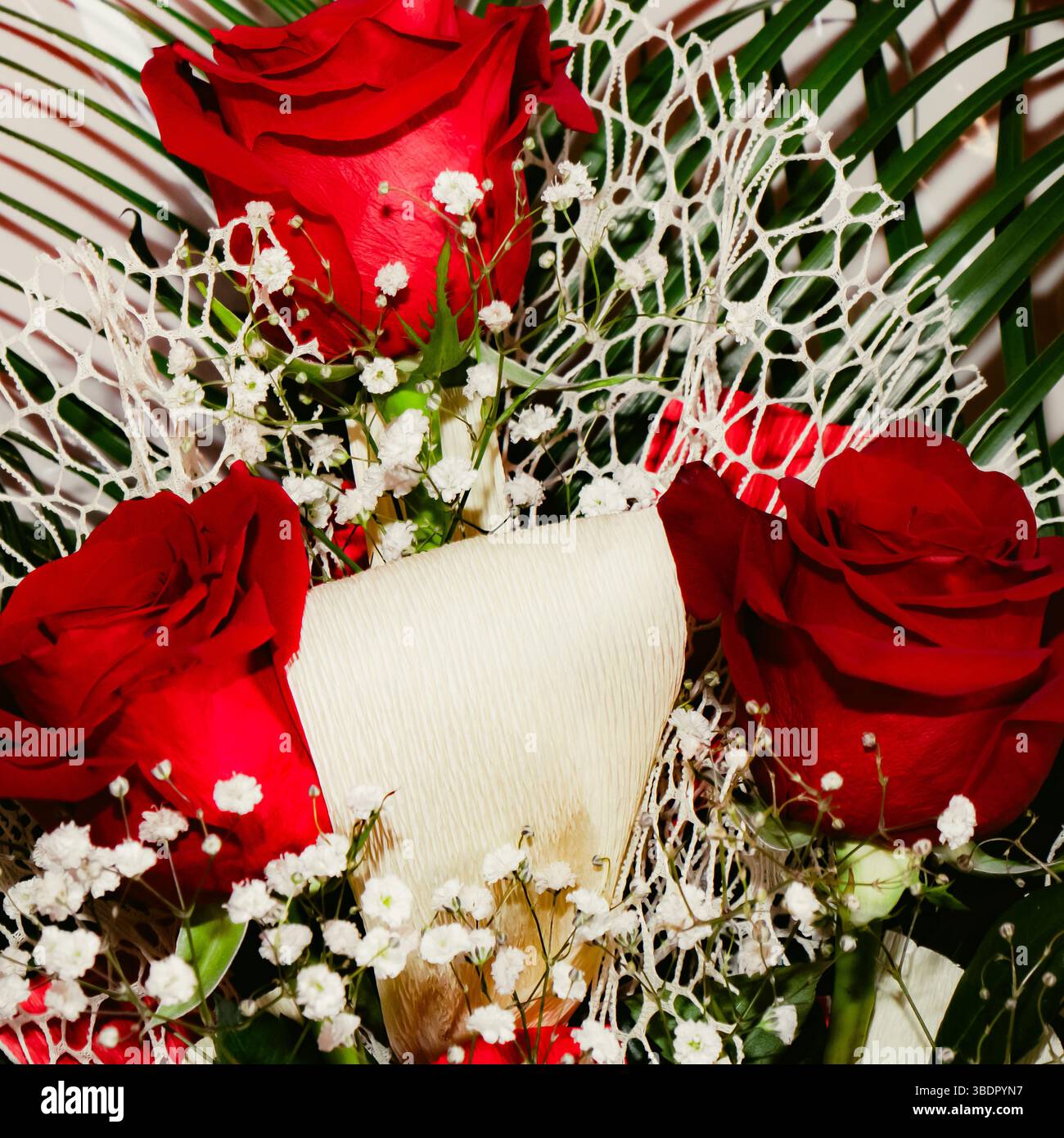 Trois roses rouges éclatantes se distinguent au milieu de délicats accents blancs, créant un bouquet saisissant idéal pour célébrer l'amour ou des moments spéciaux. Banque D'Images