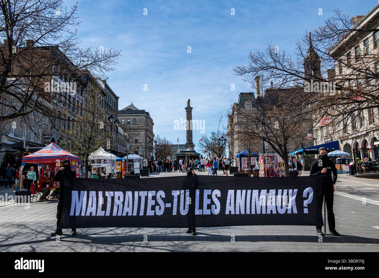 Les manifestants vêtus de noir avec des balaclavas noirs défient le public, demandant s'ils sont cruels envers les animaux à Montréal, Canada. Banque D'Images
