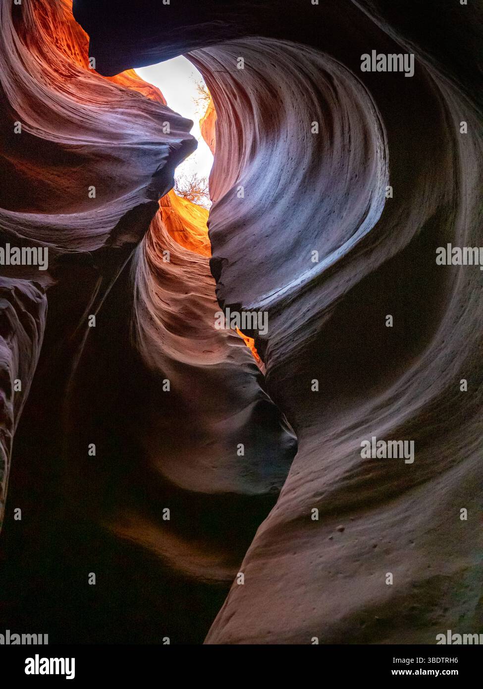 Murs de grès sculptés à l'intérieur d'une grotte cachée près d'Orderville, Arizona, États-Unis, avec une lumière incandescente et des formations rocheuses abstraites Banque D'Images