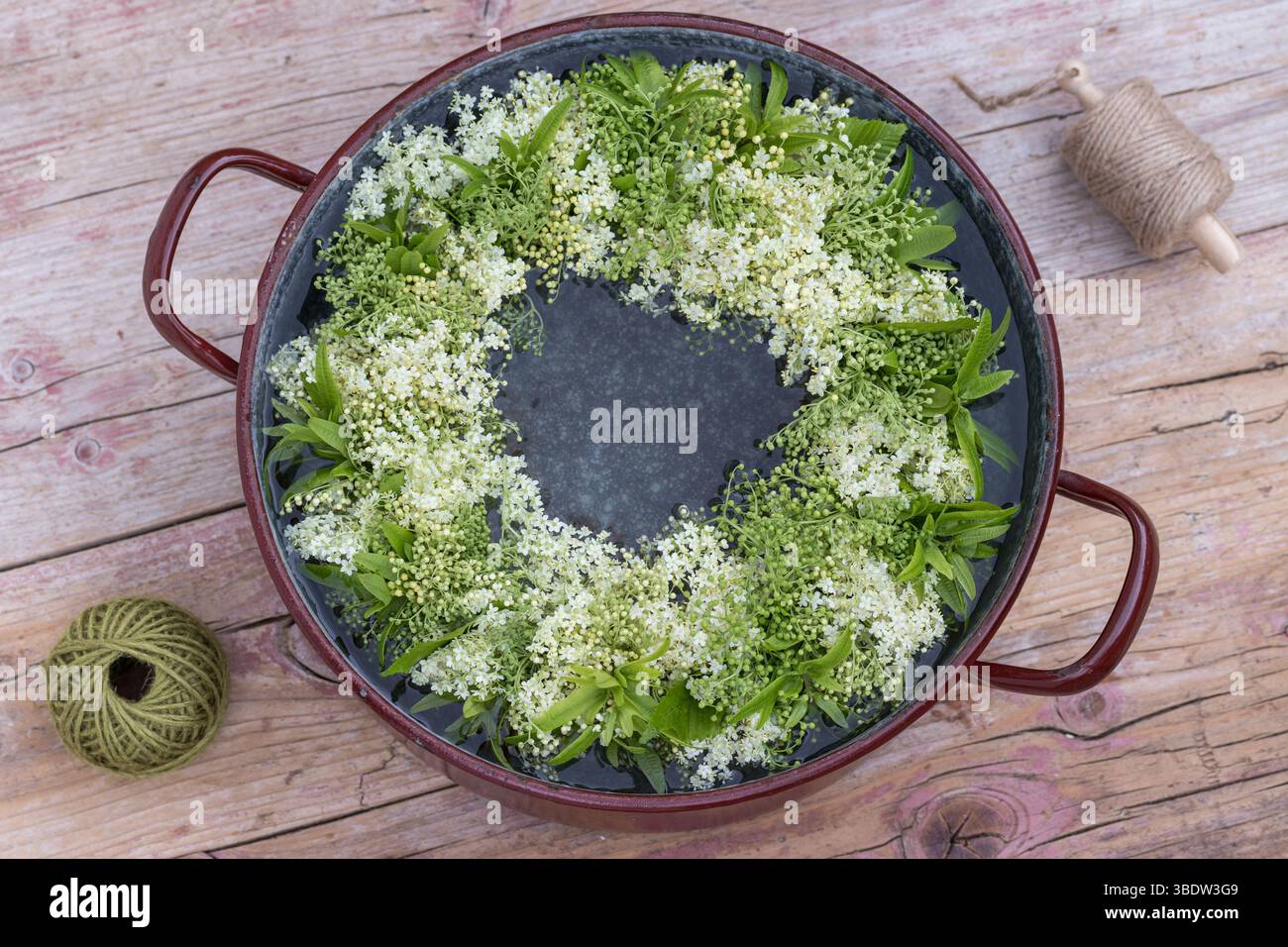 couronne florale avec des fleurs de sureau et des fruits de cornbeam se tient dans un bol avec de l'eau Banque D'Images