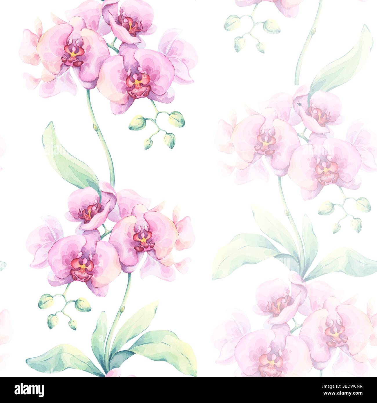 Motif sans couture orchidée rose. Illustration aquarelle avec des fleurs exotiques délicates et des feuilles vertes sur un fond blanc. Parfait pour emballer du papier Banque D'Images