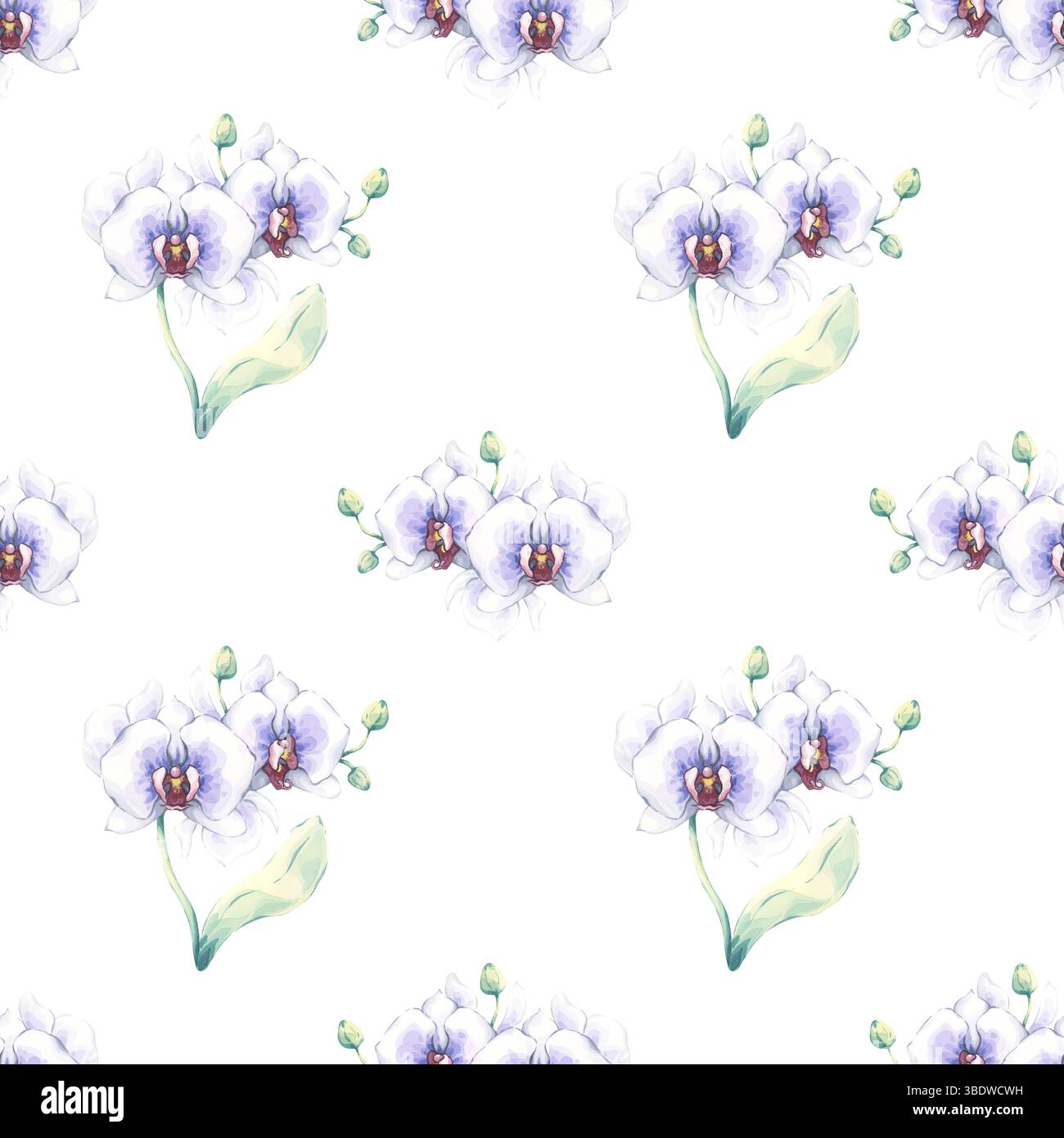 Motif sans couture d'aquarelle d'orchidée blanche. Illustration peinte à la main avec de délicates fleurs tropicales blanches et bleues avec des feuilles vertes. Idéal pour Banque D'Images