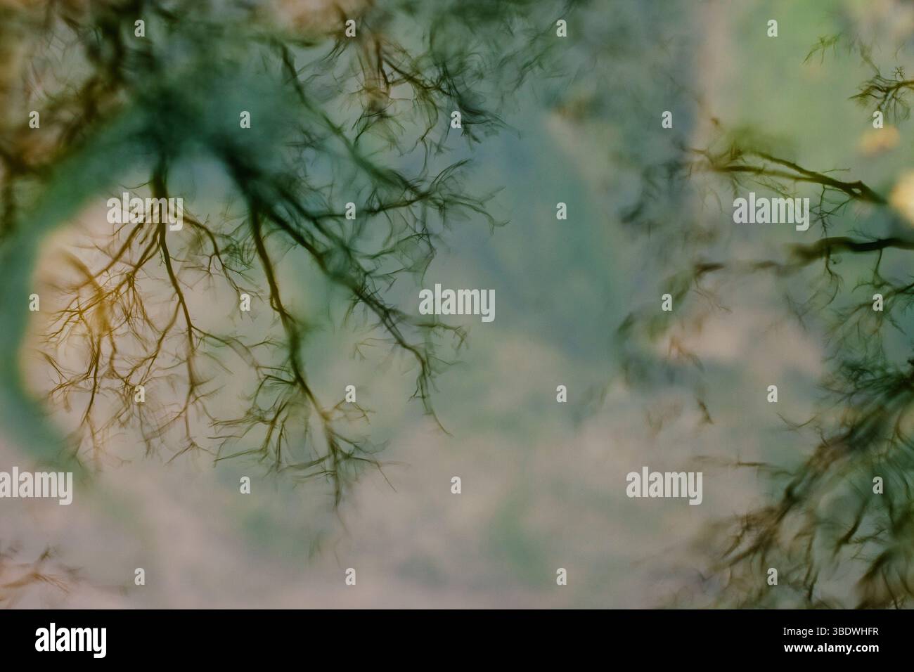 Motifs abstraits dans l'eau un effet de double exposition Banque D'Images