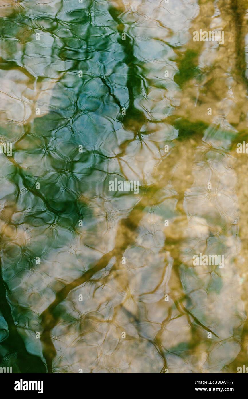 Motifs abstraits dans l'eau un effet de double exposition Banque D'Images