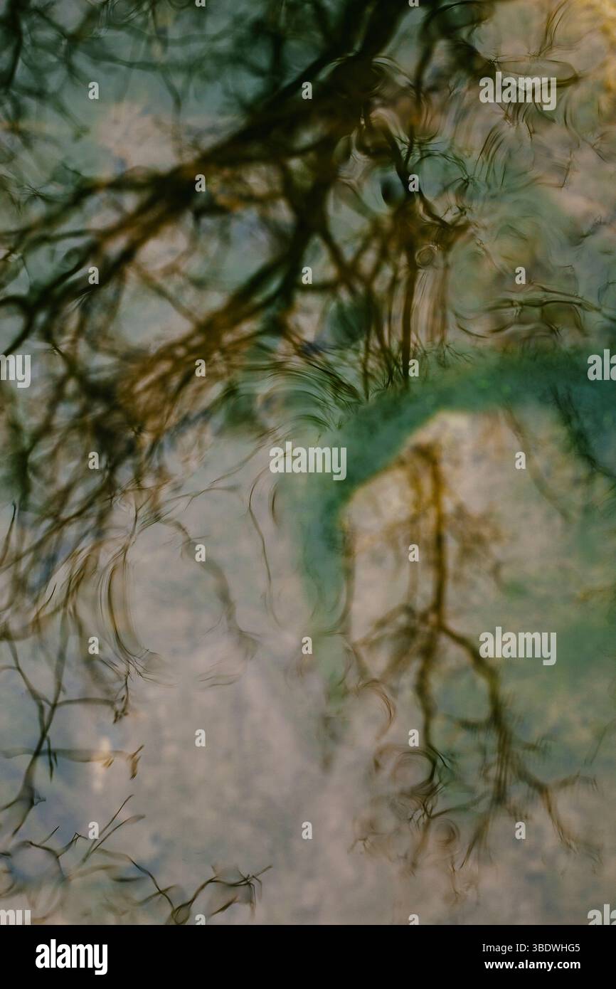 Motifs abstraits dans l'eau un effet de double exposition Banque D'Images