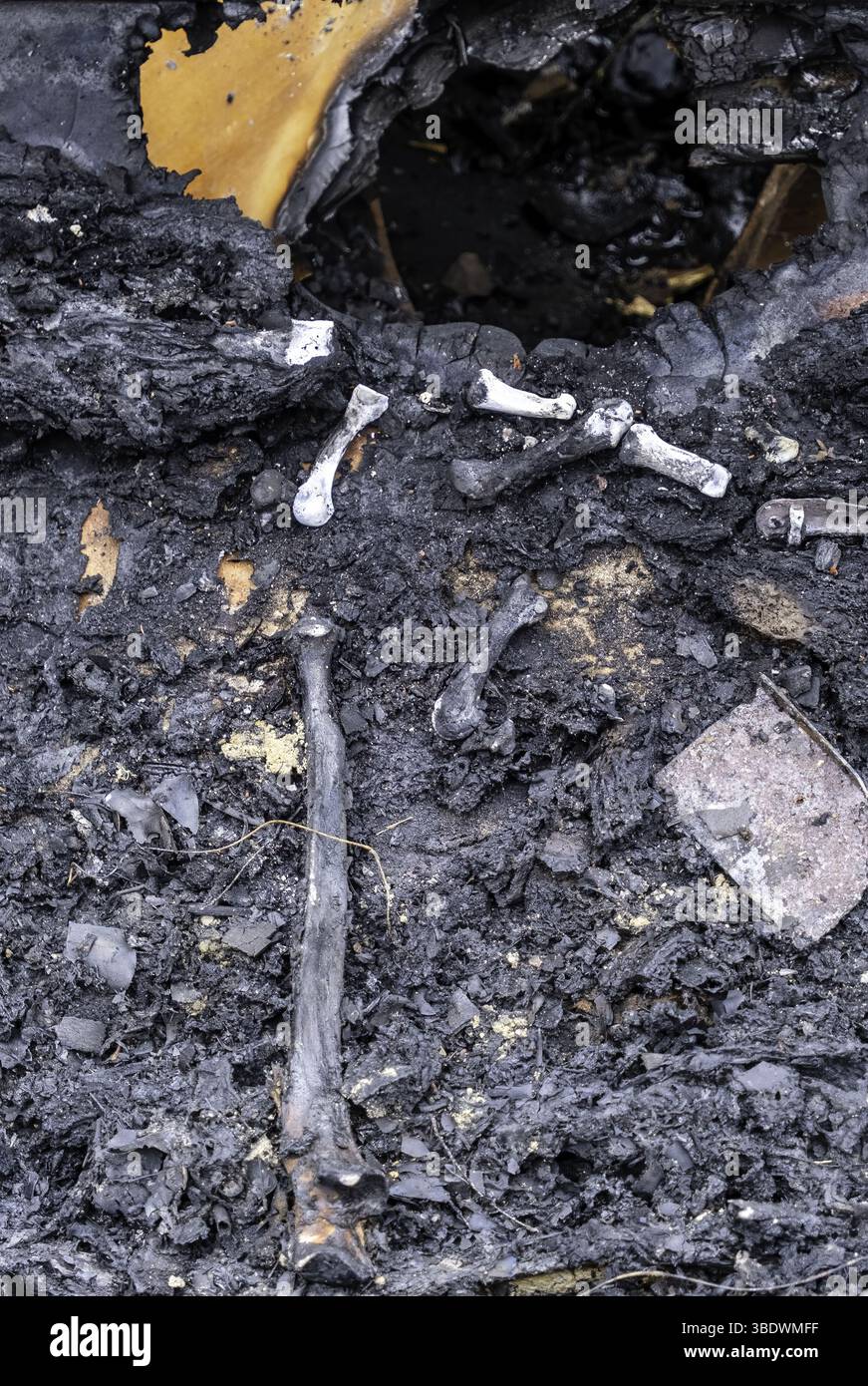 Détail de l'ancien crématorium avec des restes d'os humains, cimetière Banque D'Images