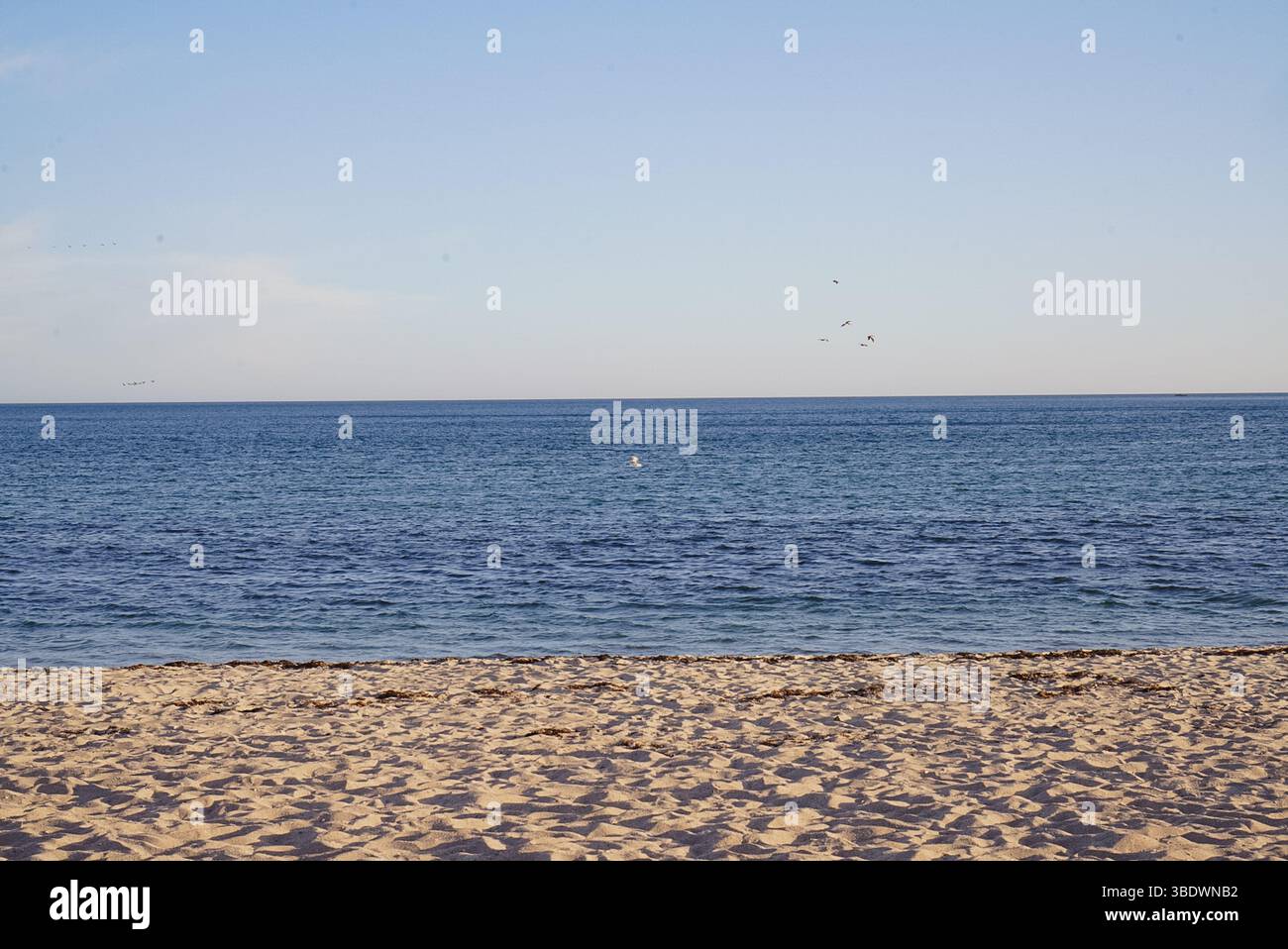 Vue sur l'océan du golfe de Californie Banque D'Images