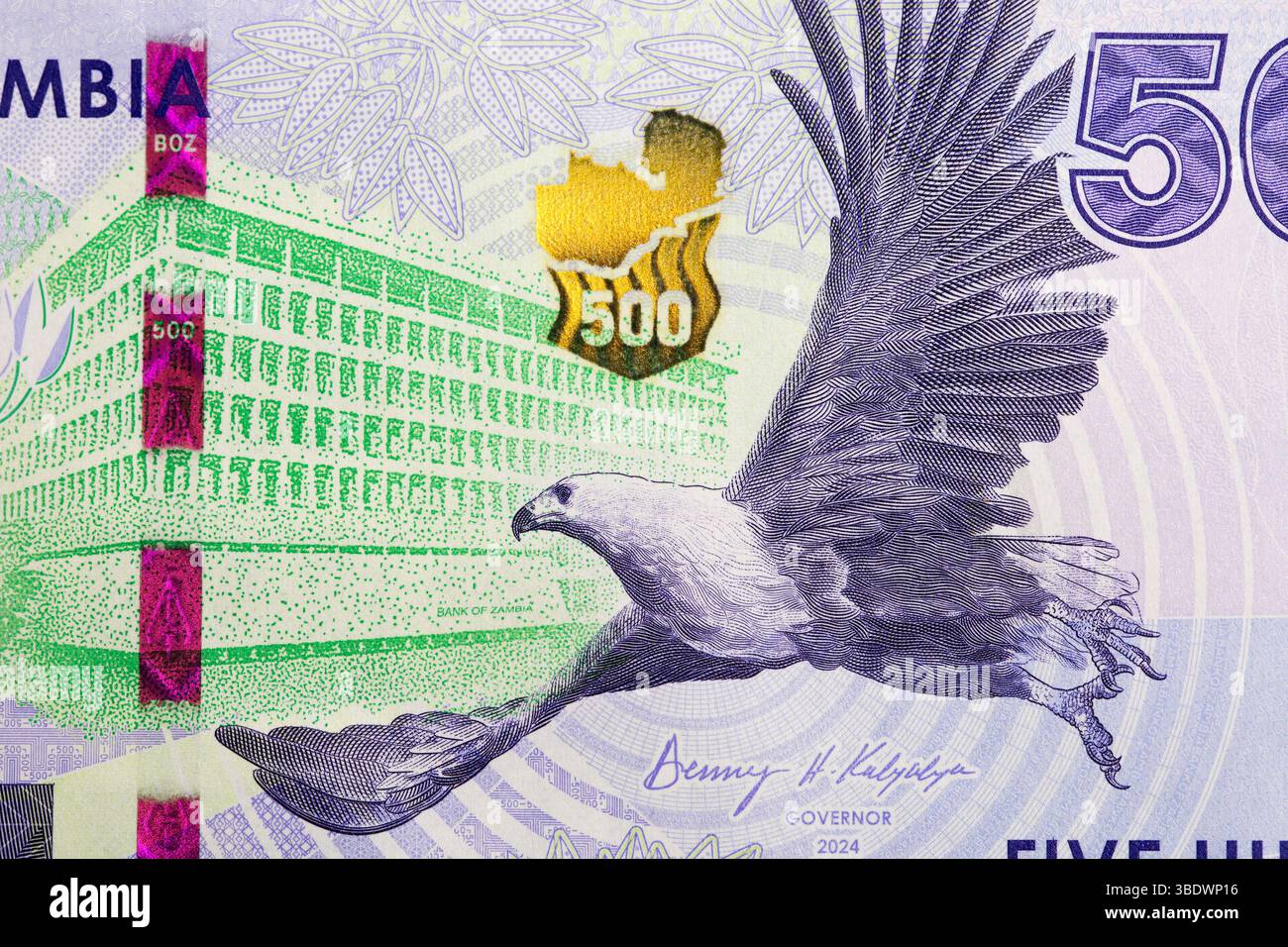 Voler l'aigle de poisson africain de l'argent zambien - 500 kwacha Banque D'Images