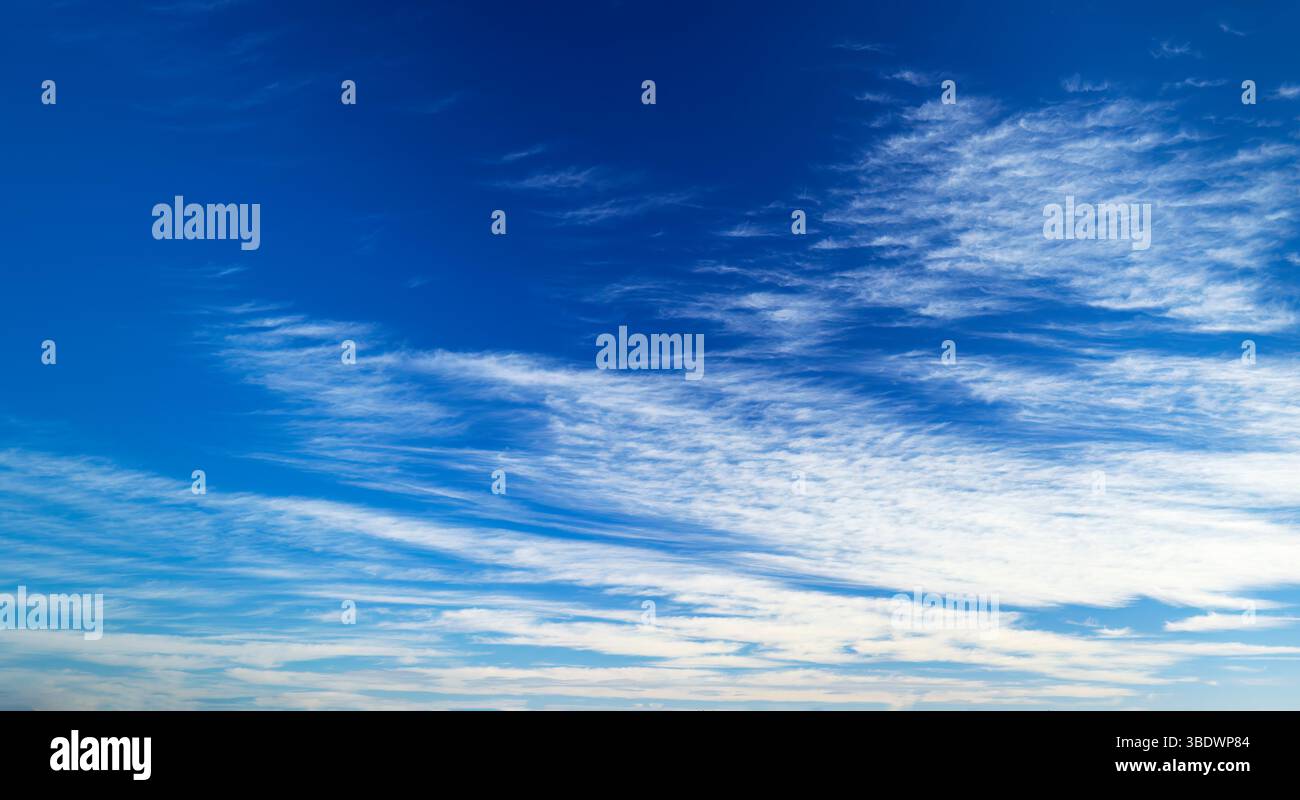 Nuages cirrus élégants créant un motif délicat sur un fond bleu éclatant Banque D'Images